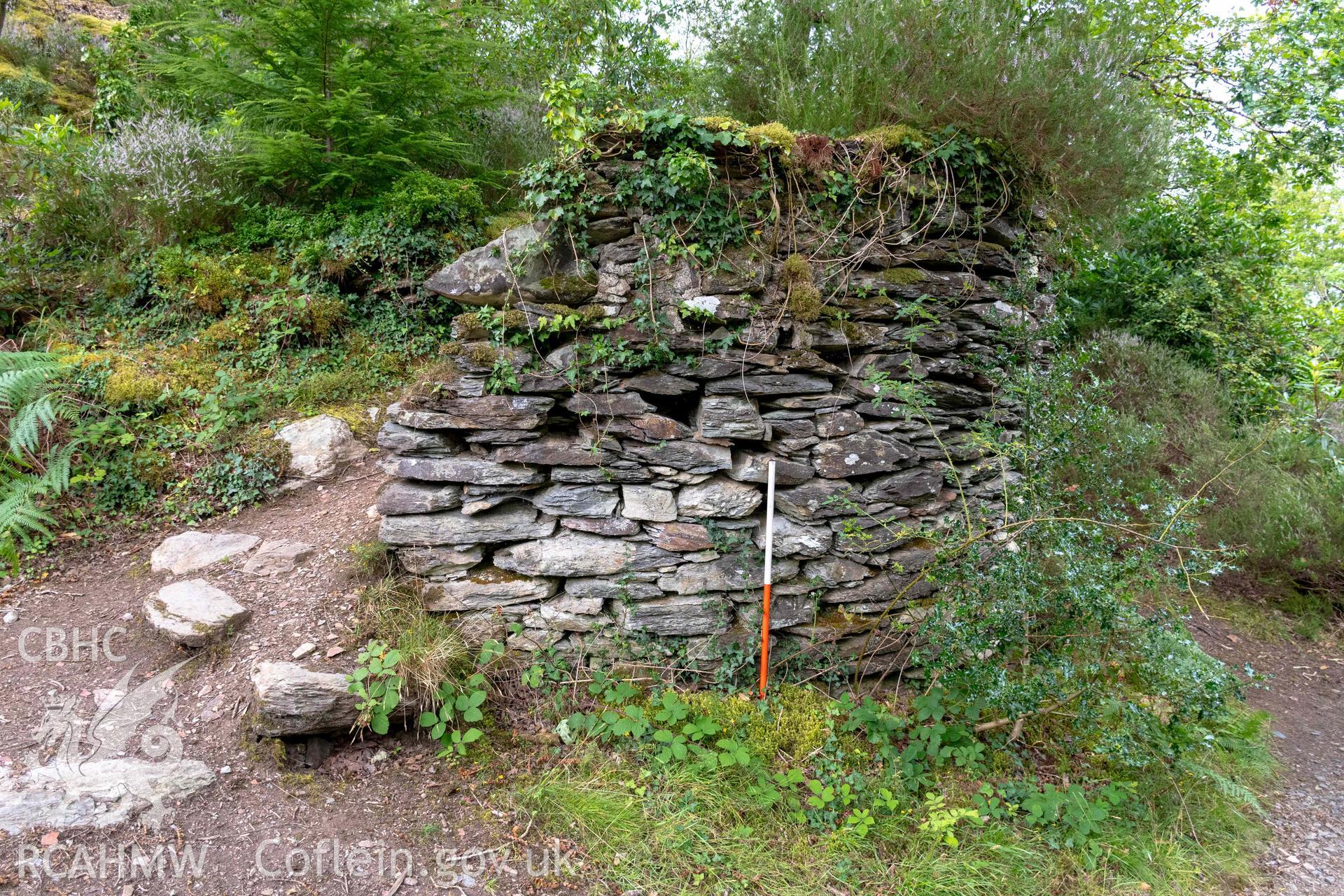 Lime Kiln, Coed y Garth. Curving east face (with scale).