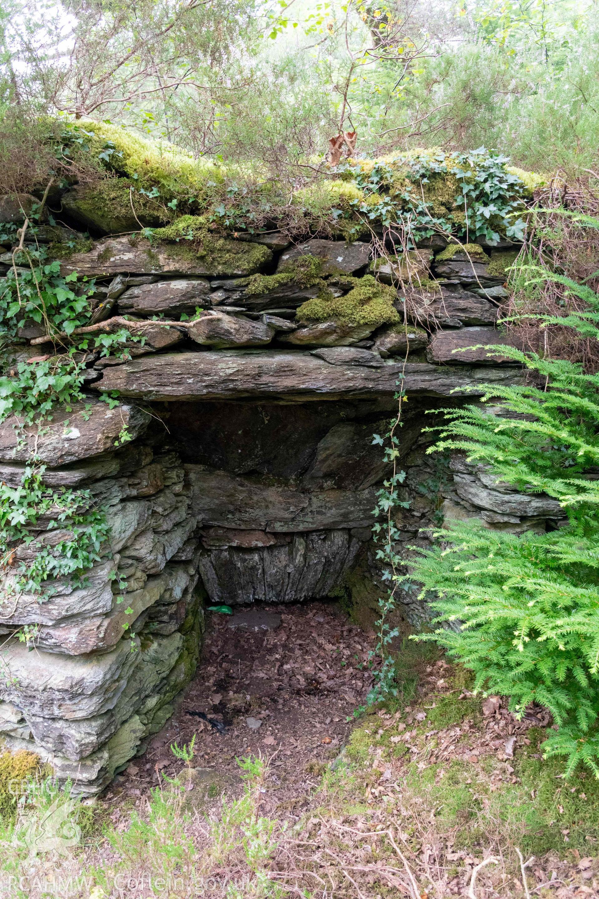 Lime Kiln, Coed y Garth. Kiln eye in north side.