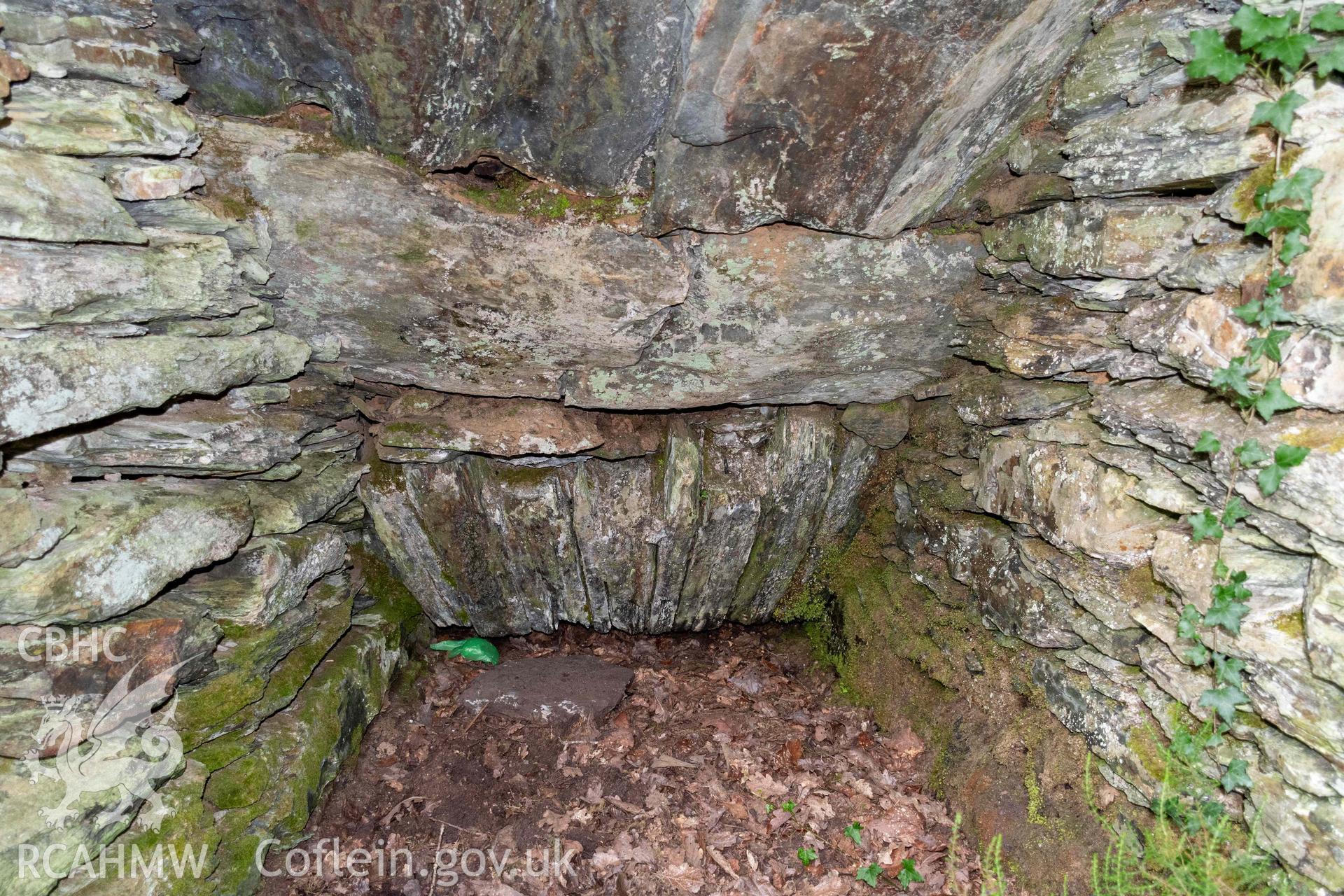 Lime Kiln, Coed y Garth. Draw hole in kiln eye, north side.