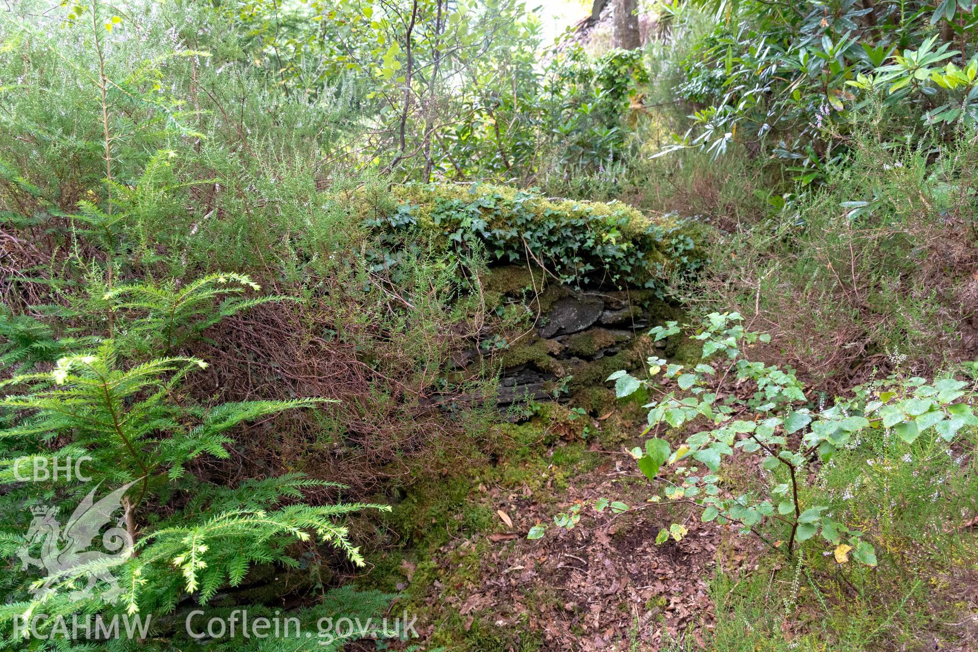 Lime Kiln, Coed y Garth. Noth side wall at western end.
