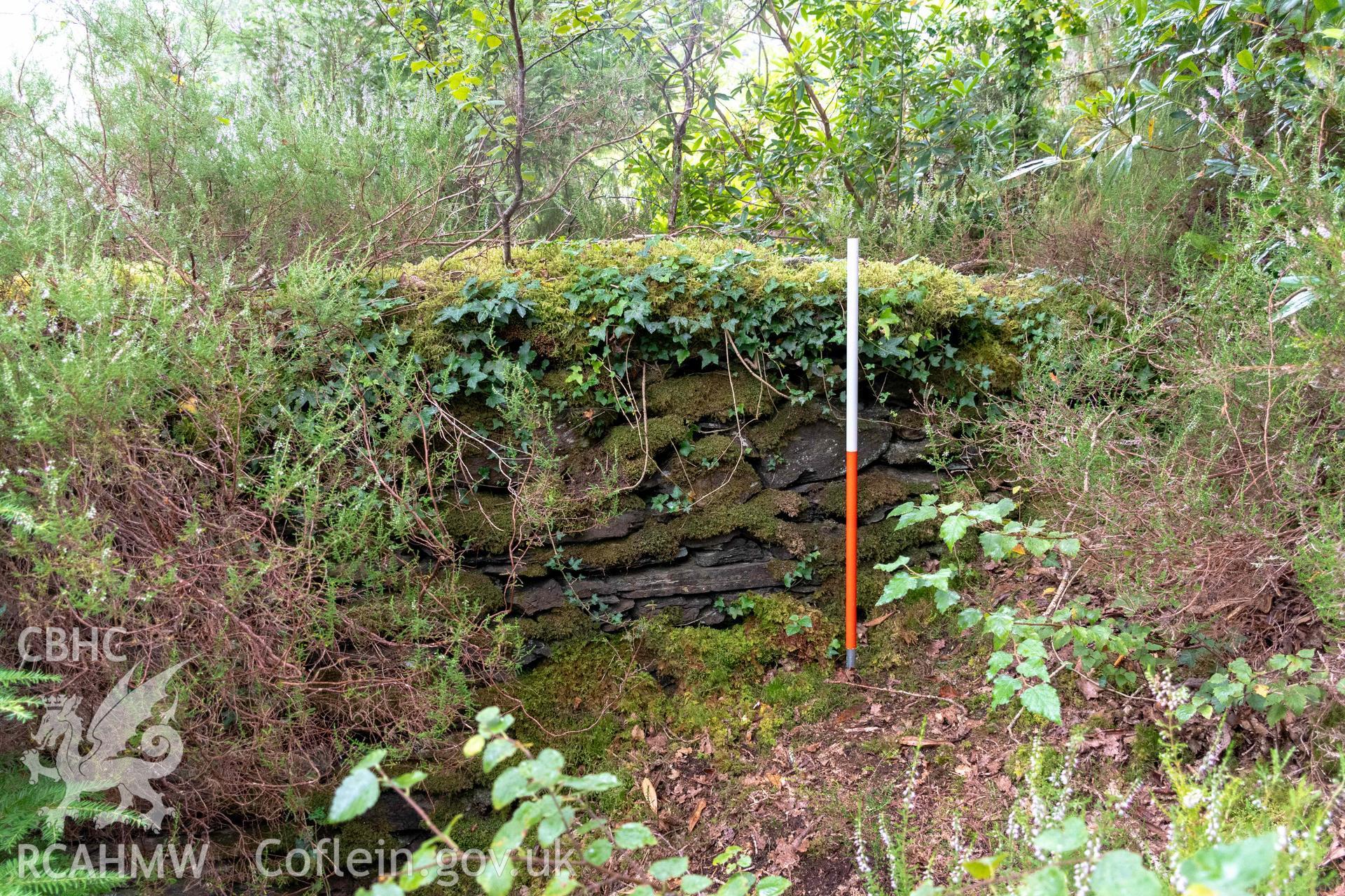 Lime Kiln, Coed y Garth. Noth side wall at western end (with scale).