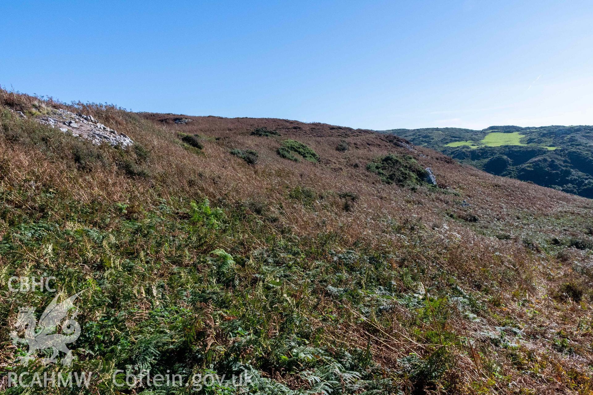 Dinas Gynfor Coastal Hillfort. View looking east across to the main inner rampart of the hillfort.
