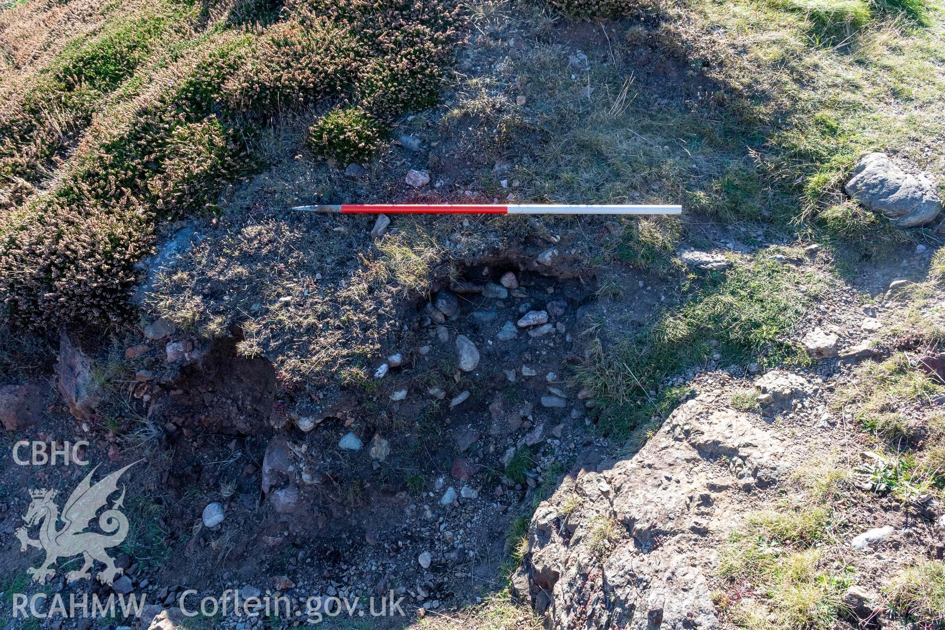 Ynys y Fydlyn Coastal Promontory Fort. Rampart core where path cuts through at eastern end (with scale)