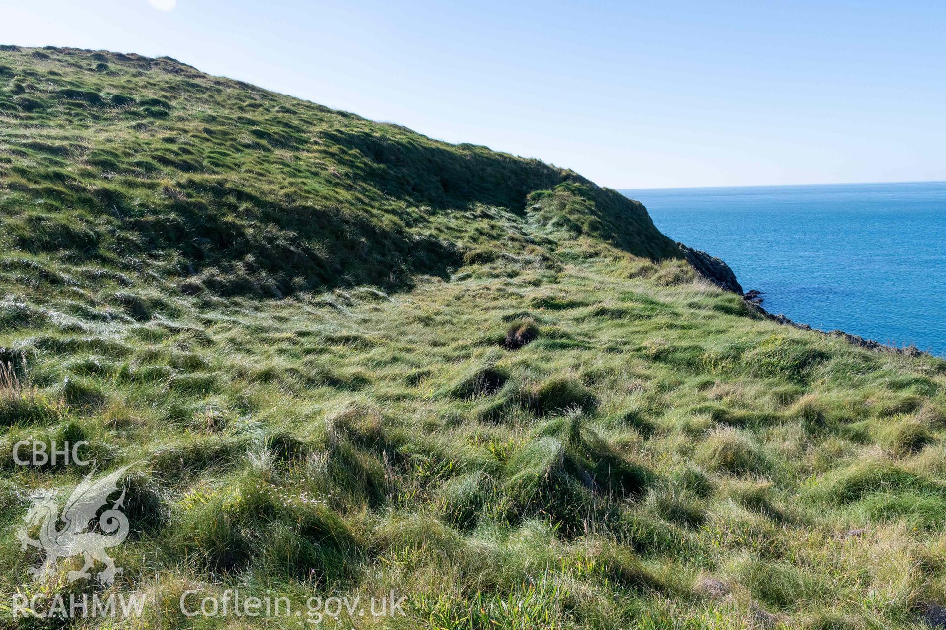 Ynys y Fydlyn Coastal Promontory Fort. House platforms on northeast edge of western islet.