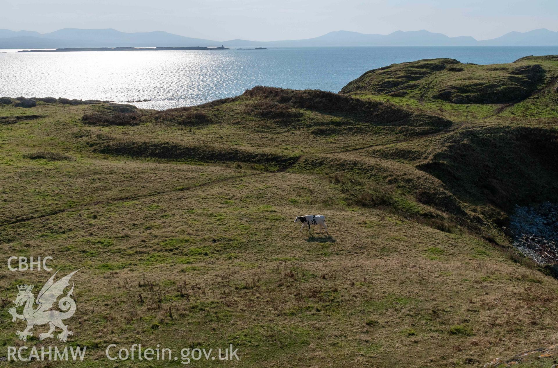 Twyn y Parc Coastal Promontory Fort. Defences running across the neck on the east (landward) side of the fort.