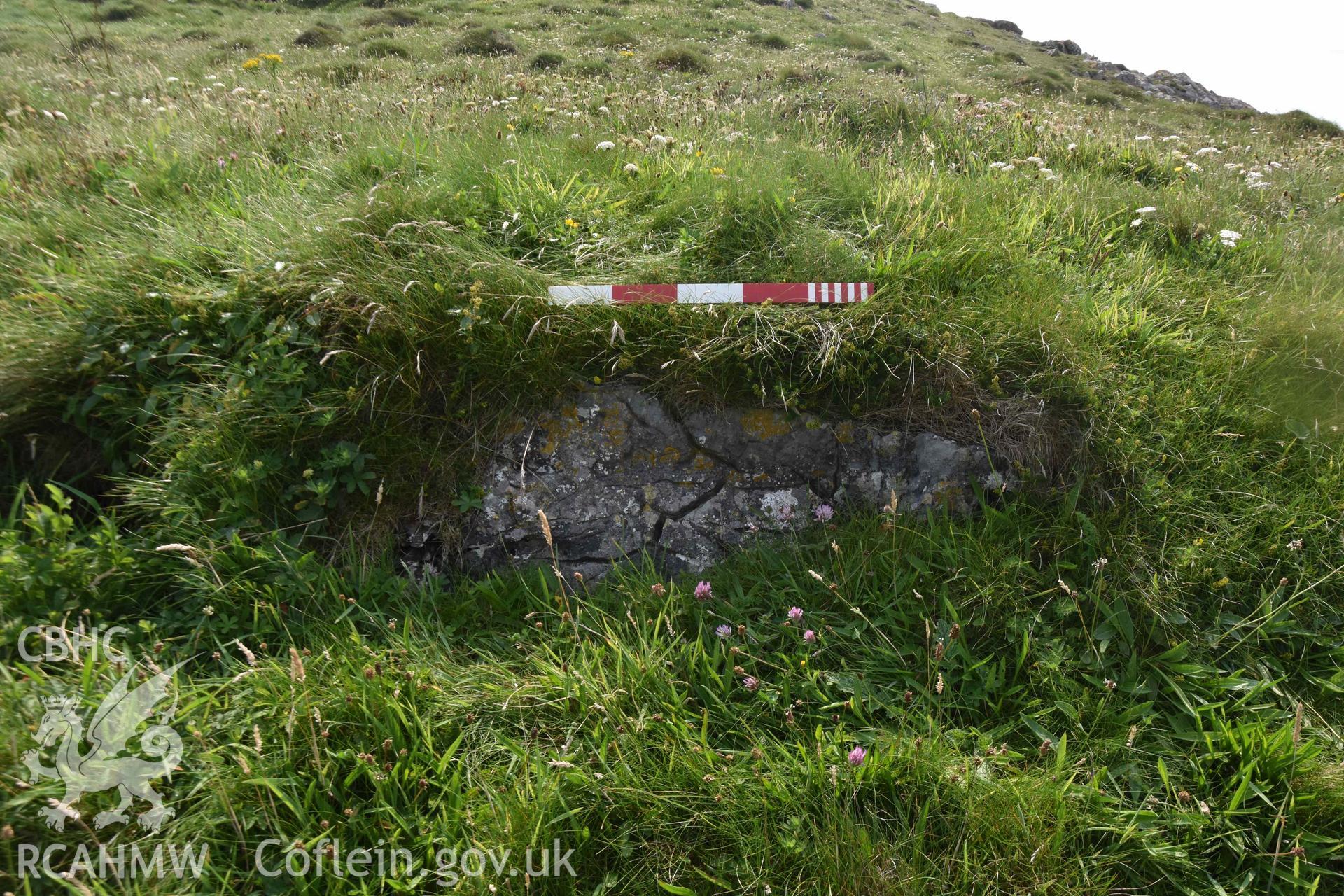 Crocksydam Camp. Limestone block exposed in western section of bank.