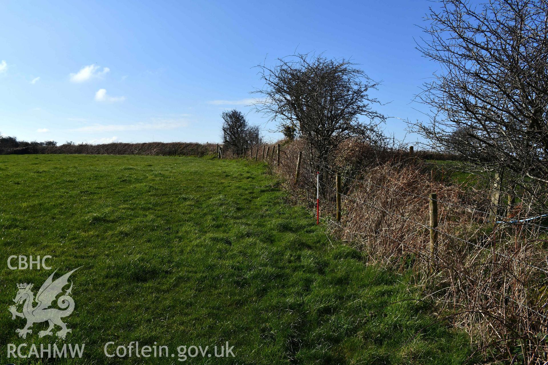 Castell Nadolig: external south face of southern antenna, looking west, climbing earthwork of inner rampart