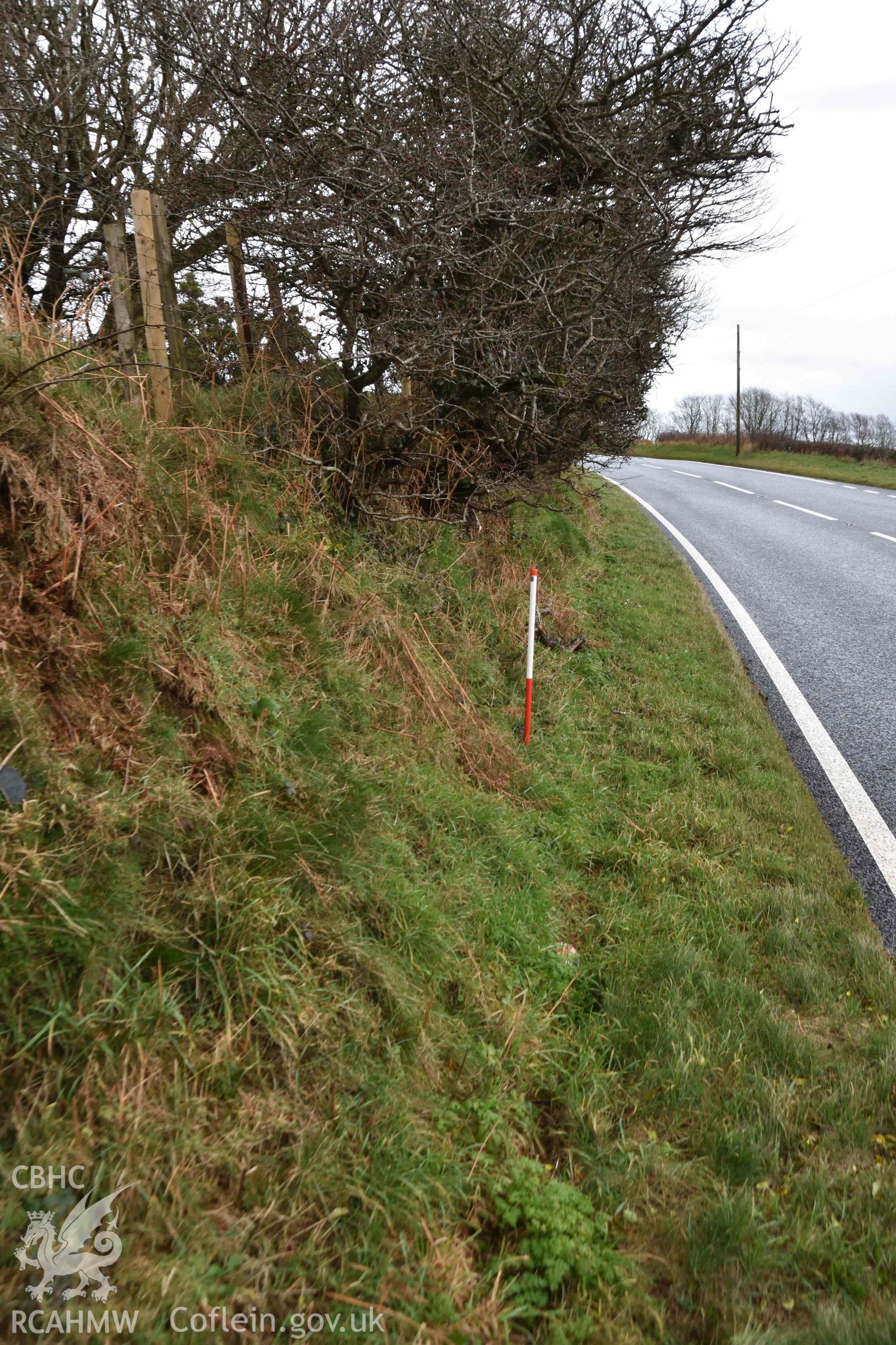 Castell Nadolig: view of southern rampart along roadside, looking east