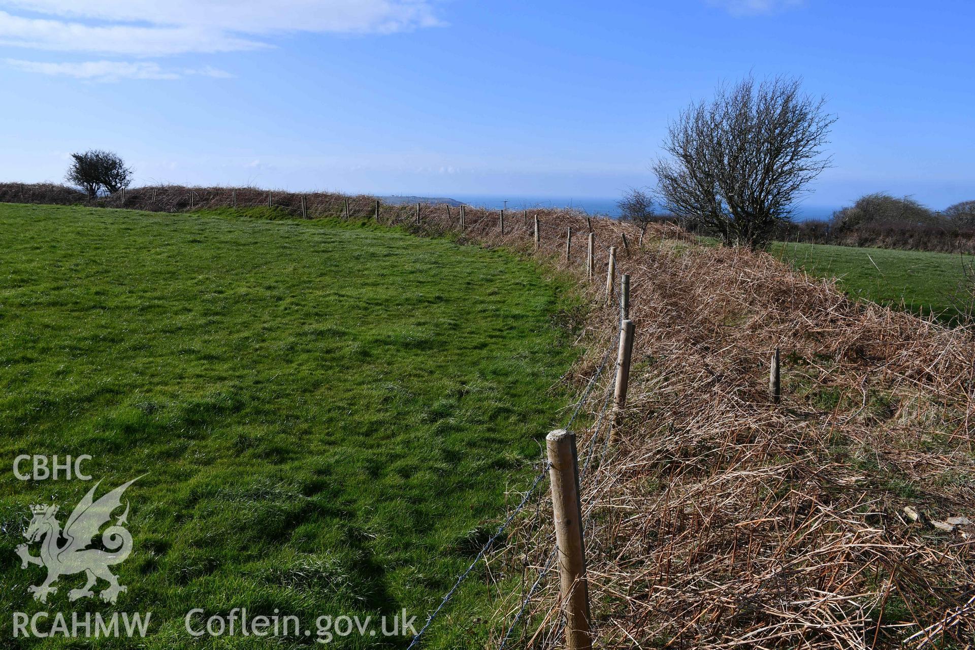 Castell Nadolig: innermost enclosure, view of north rampart looking west