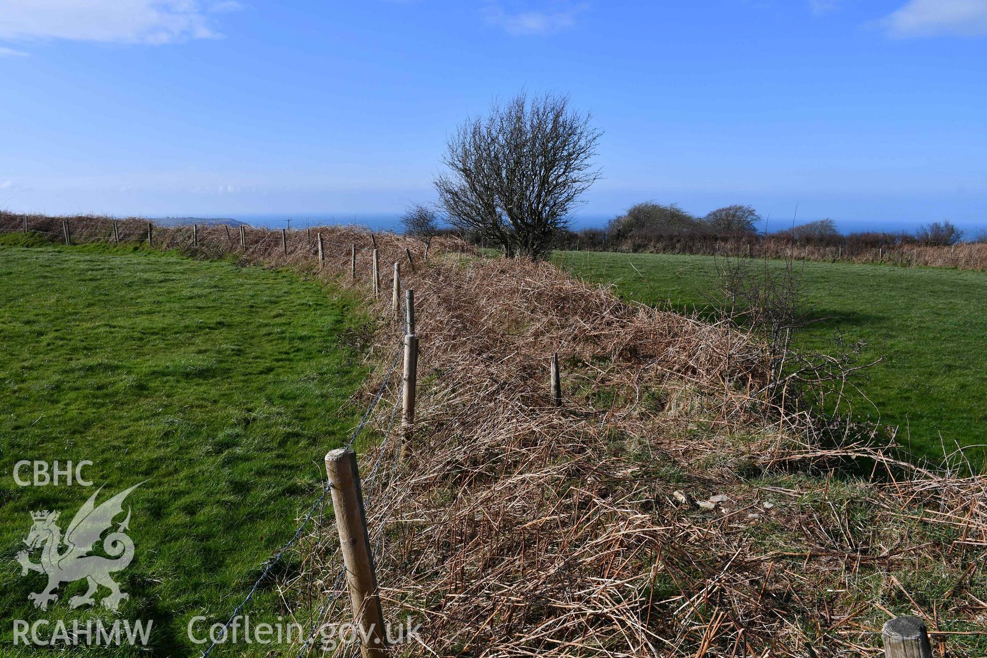 Castell Nadolig: innermost enclosure, view of north rampart looking west