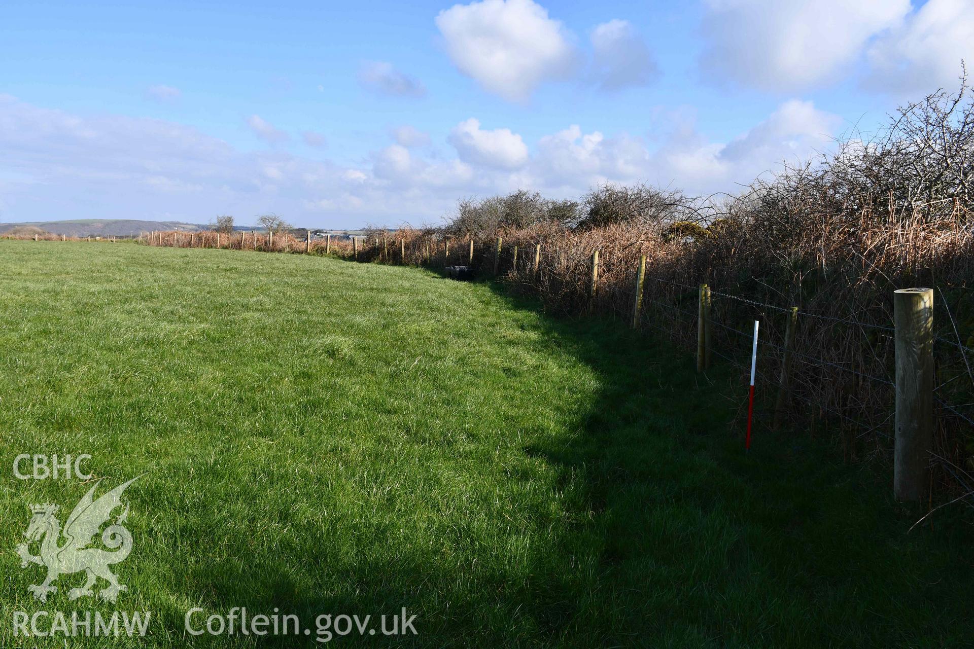 Castell Nadolig: innermost enclosure, south-western rampart. View of inner face looking east
