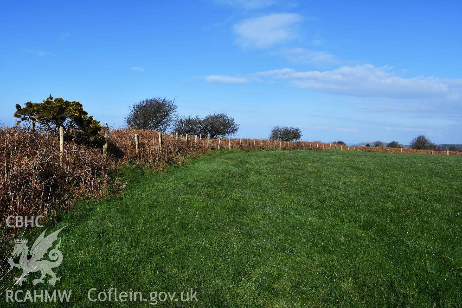 Castell Nadolig: innermost enclosure, western rampart, view of inner face looking north