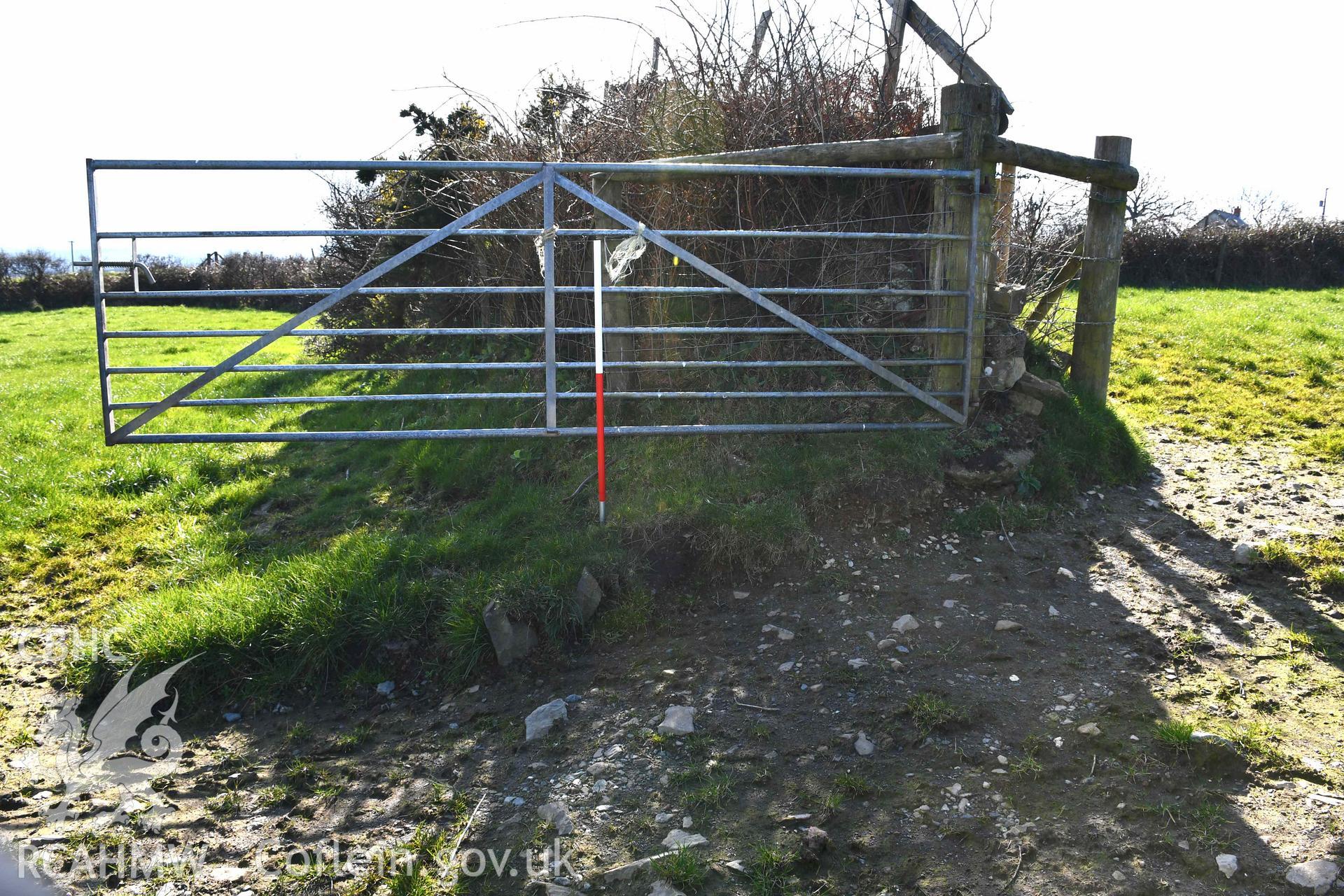 Castell Nadolig: Earthwork rampart of outer annexe, view looking south from modern gate
