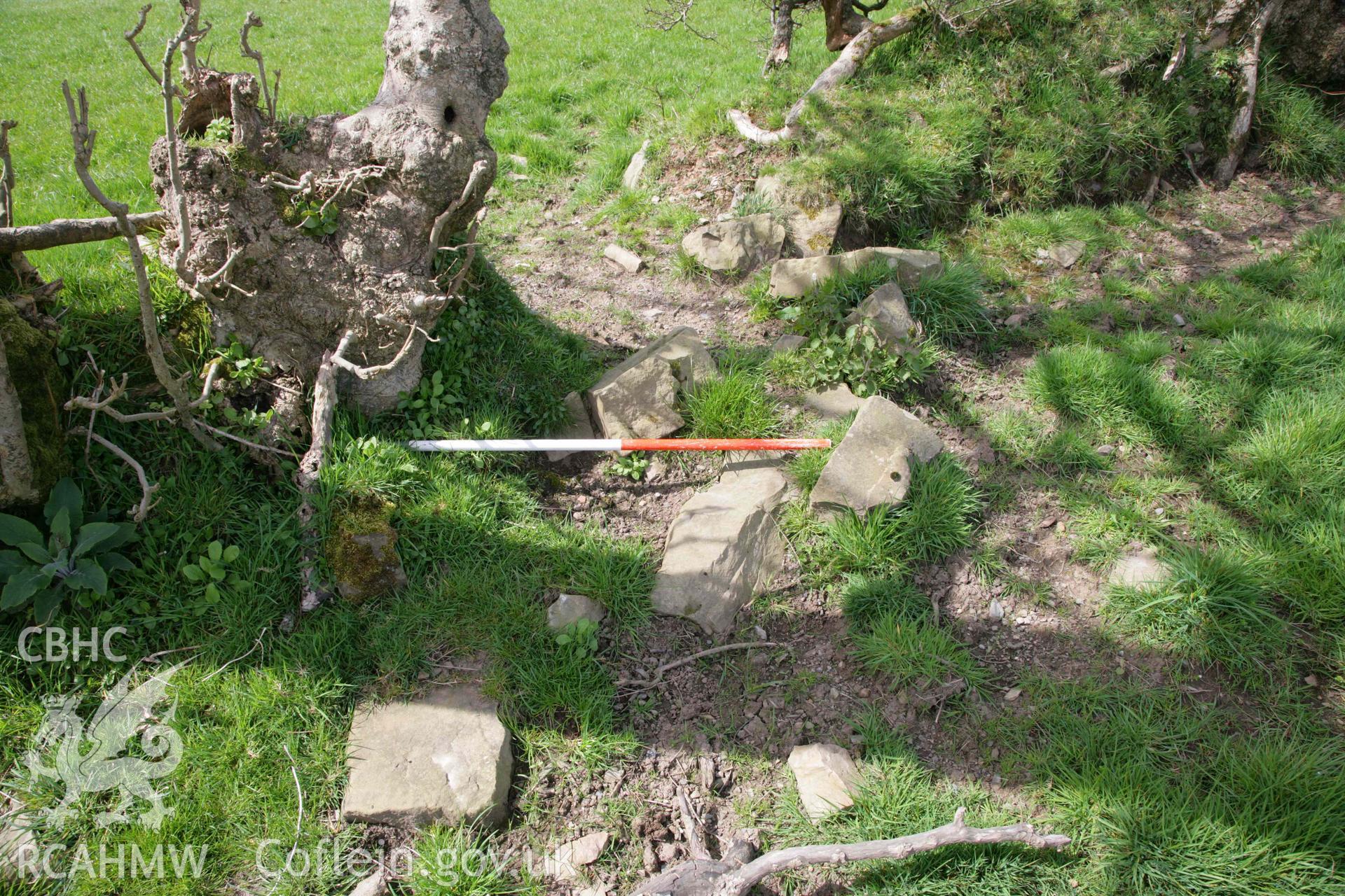 Castell Nadolig: loose stonework of prehistoric walling tumbled from post medieval hedgebank south of spring at SN 298 503