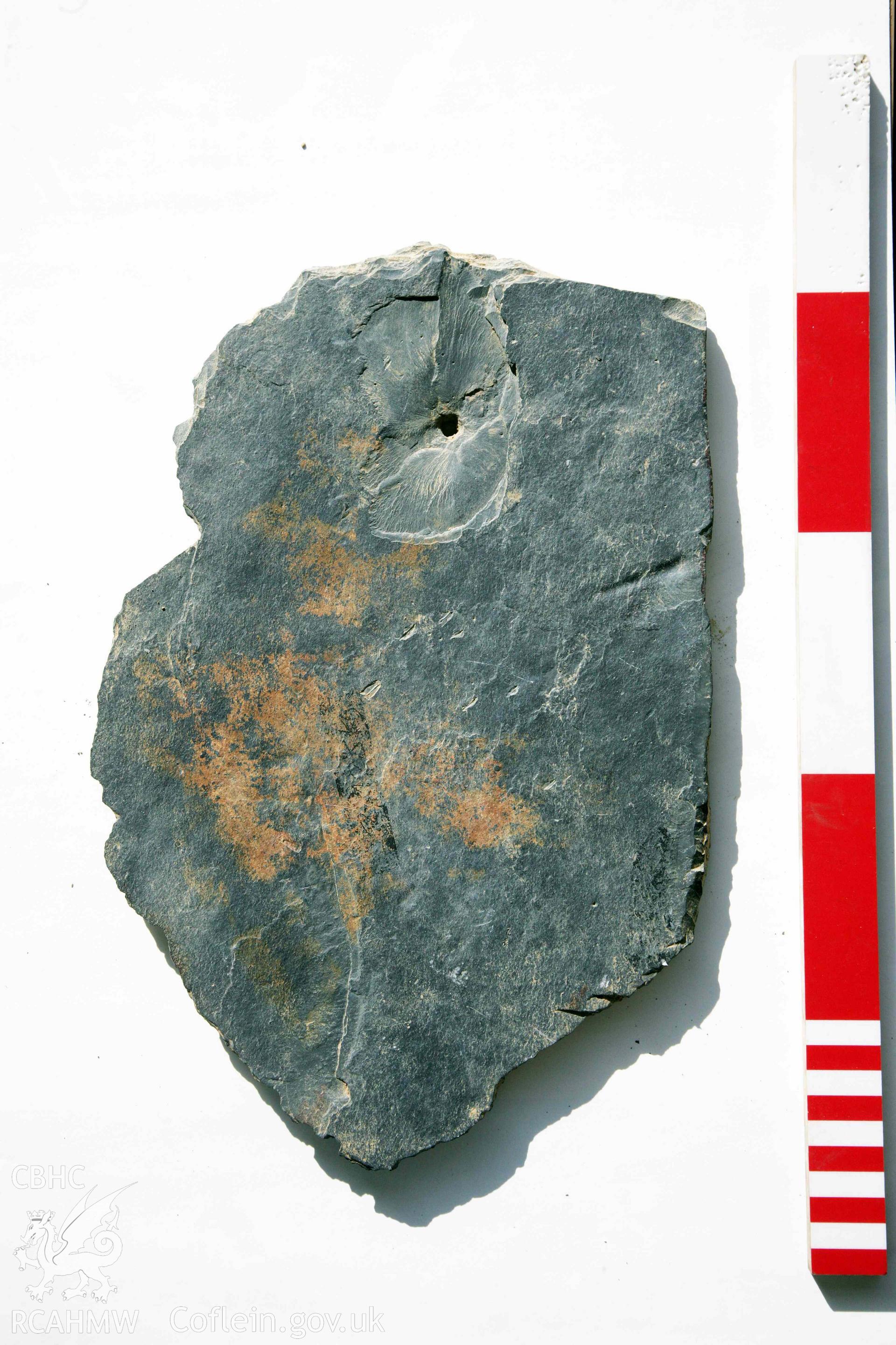Abermagwr Roman villa: corpus of Roman slates retained in Ceredigion Museum. Roof slate 1, ABR11, Trench C, context 062. Underside