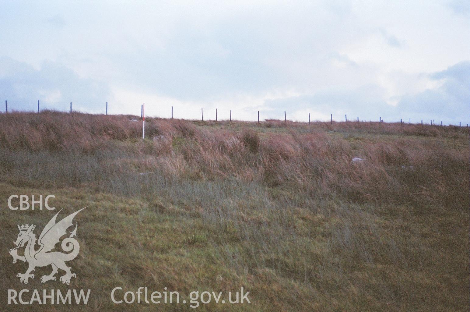 Digital colour photograph of a mound at Moel Hen-Fache North taken on 23/11/2006 by A.C. Roseveare during the Berwyn North East Upland Survey by Archaeophysica.