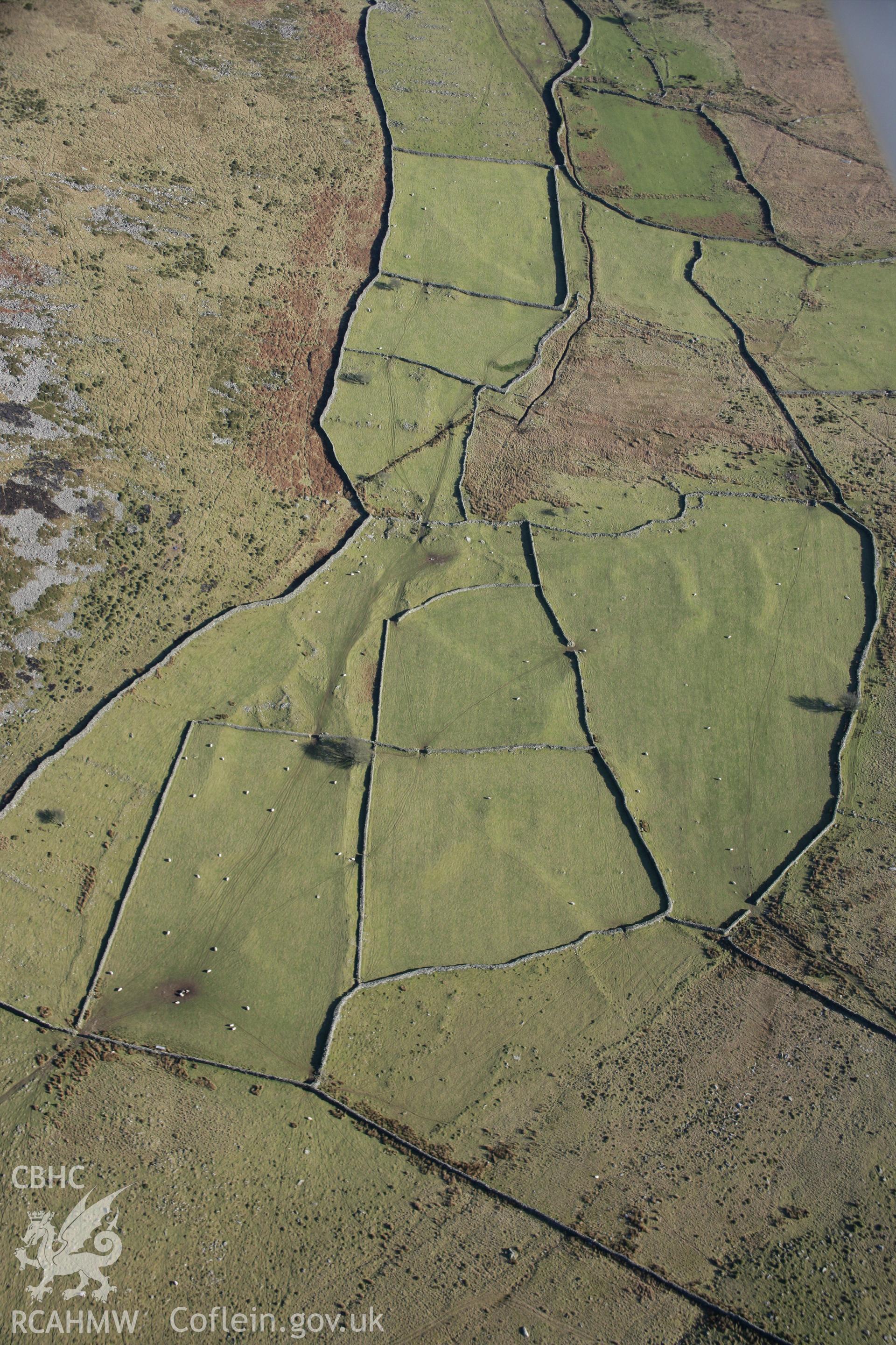 RCAHMW colour oblique aerial photograph of Tyddyn-Mawr Settlement I, from the north-west. Taken on 09 February 2006 by Toby Driver.