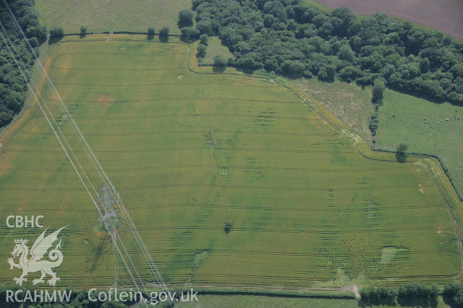 RCAHMW colour oblique aerial photograph of Harrolds Enclosure visible as a cropmark. Taken on 11 July 2006 by Toby Driver.