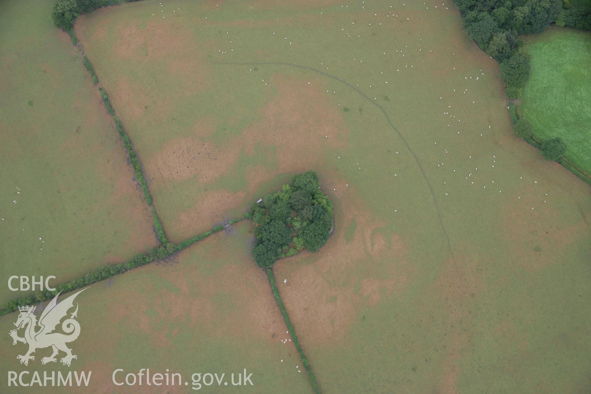 RCAHMW colour oblique aerial photograph of Hen Domen, Llansantffraid Deytheur. Taken on 31 July 2006 by Toby Driver.