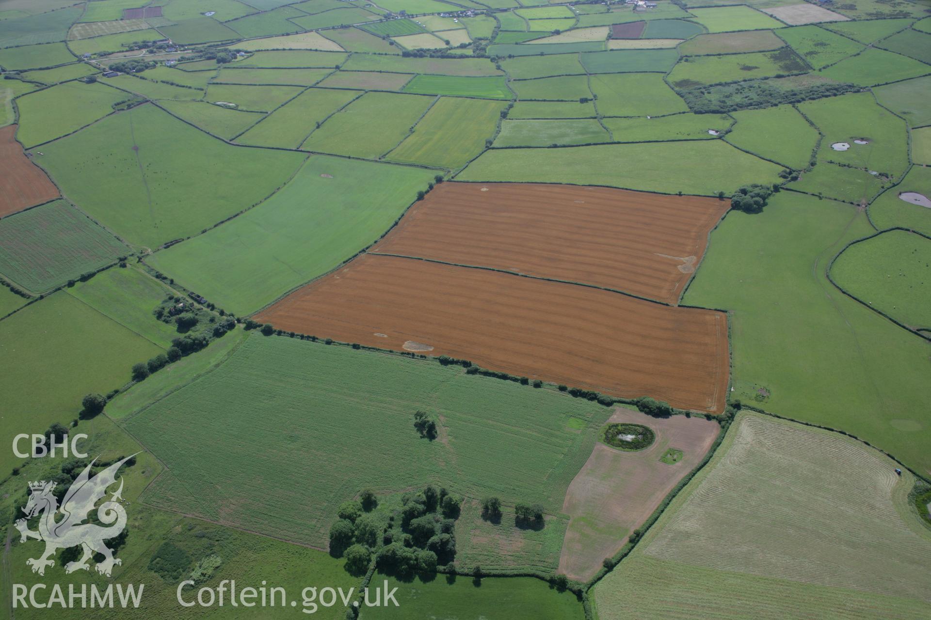 RCAHMW colour oblique aerial photograph of Newton Henge Cropmark. Taken on 11 July 2006 by Toby Driver.