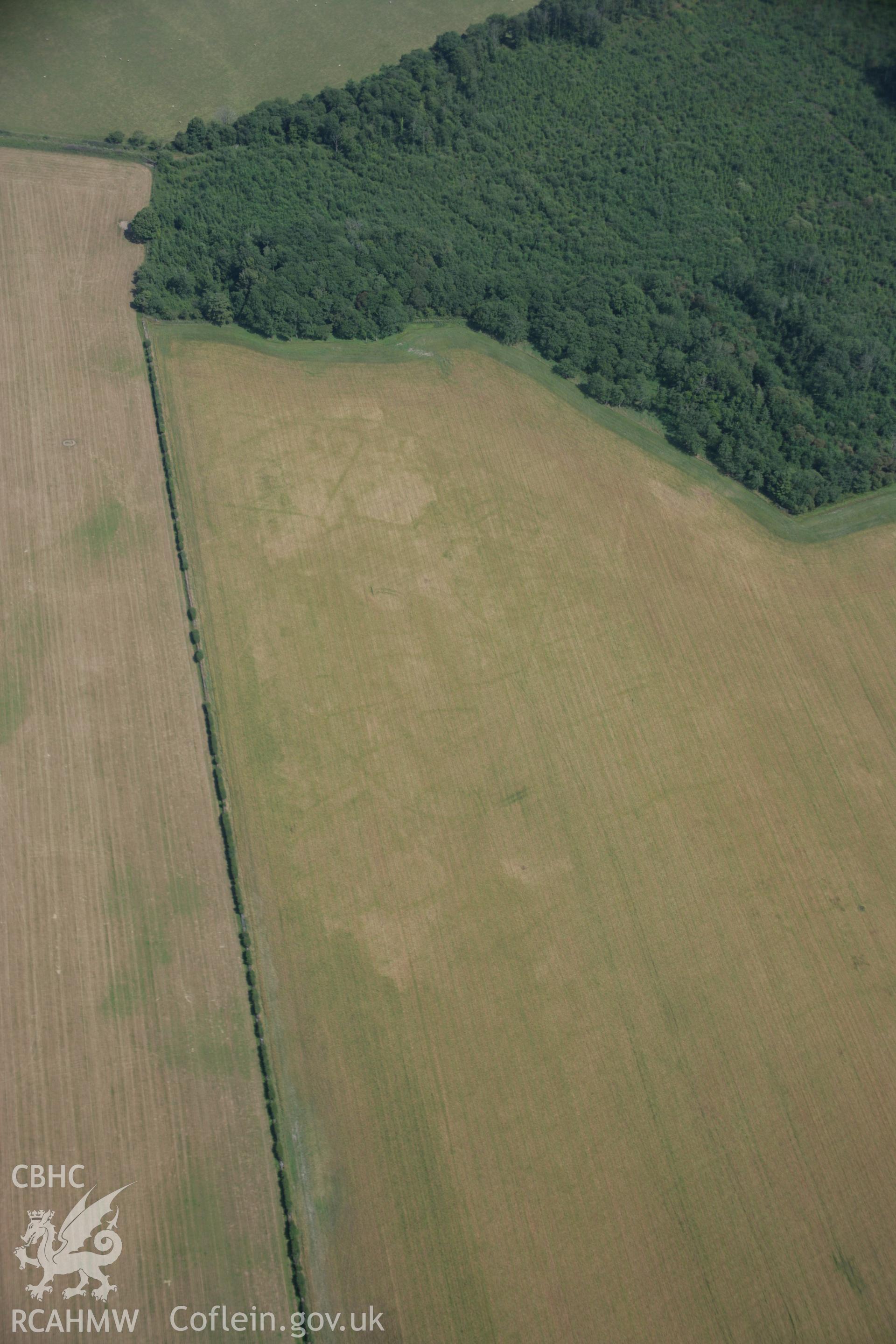 RCAHMW colour oblique aerial photograph of Coed Cefn. Taken on 25 July 2006 by Toby Driver.