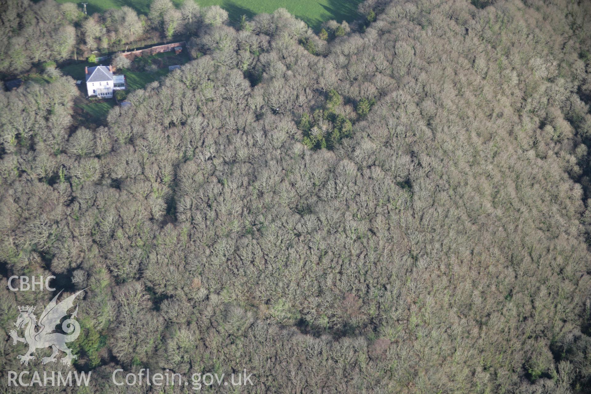RCAHMW colour oblique aerial photograph of Little Treffgarne Wood Enclosureand Hazelgrove forts, view under trees from the west Taken on 11 January 2006 by Toby Driver.