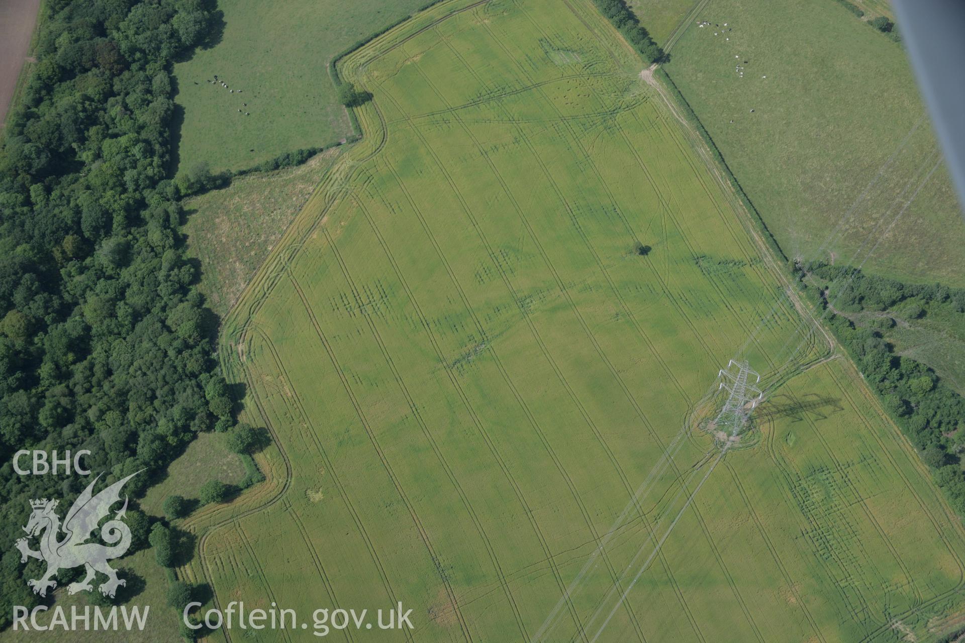 RCAHMW colour oblique aerial photograph of Harrolds Enclosure visible as a cropmark. Taken on 11 July 2006 by Toby Driver.