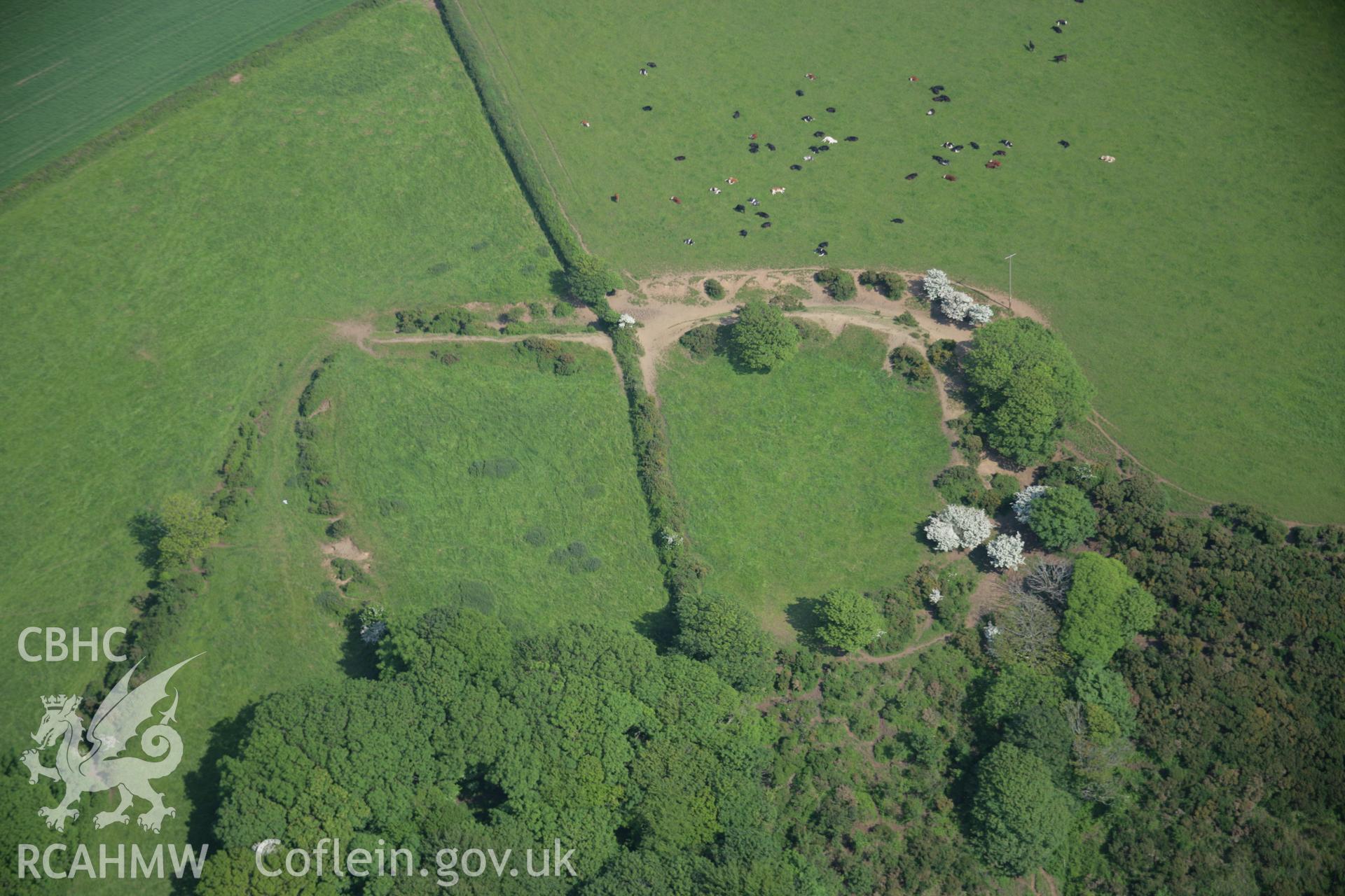RCAHMW colour oblique aerial photograph of Howelston Woodlands Rath, viewed from the west Taken on 08 June 2006 by Toby Driver.