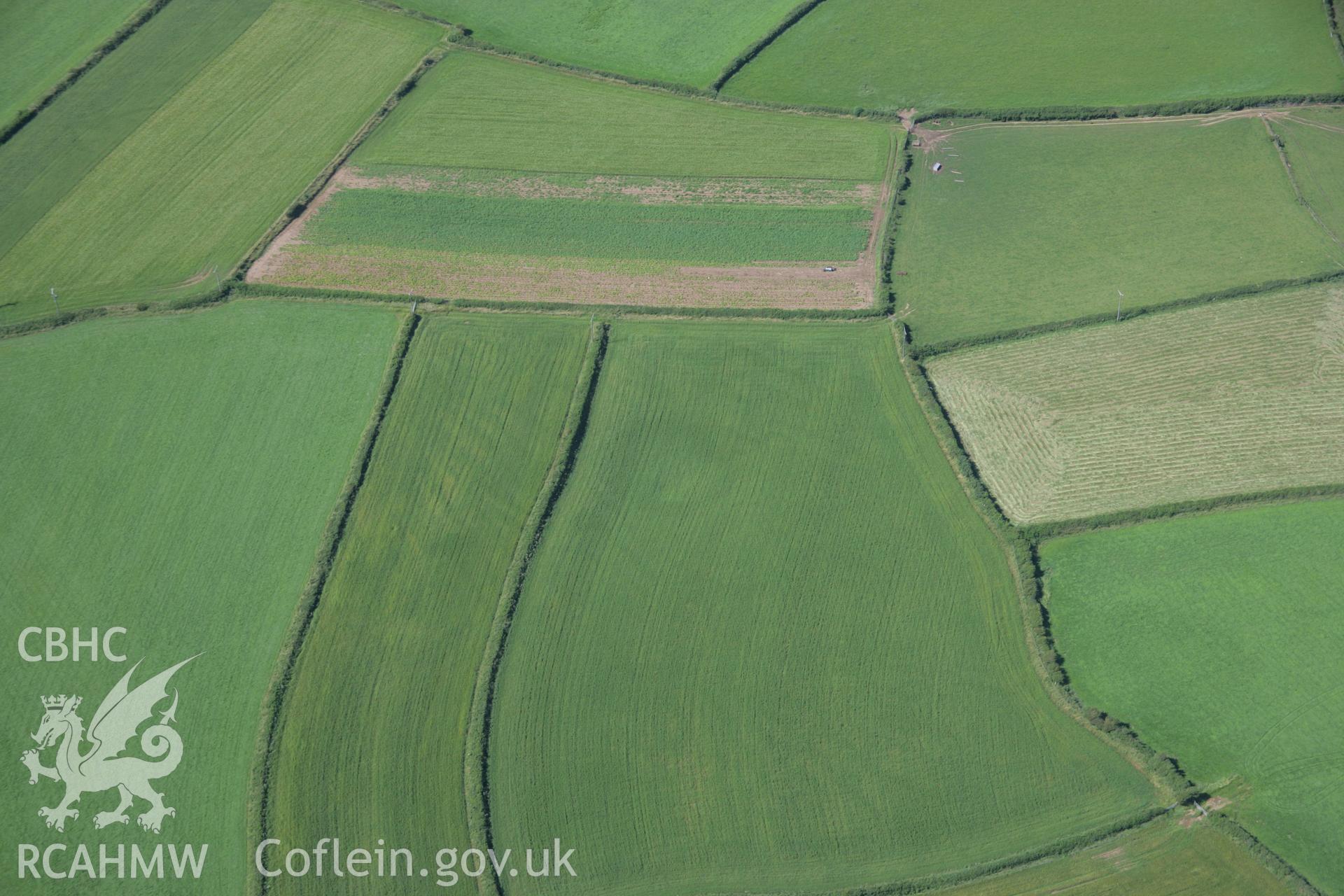 RCAHMW colour oblique aerial photograph of Norton Barrow, visible in cropmark. Taken on 11 July 2006 by Toby Driver.