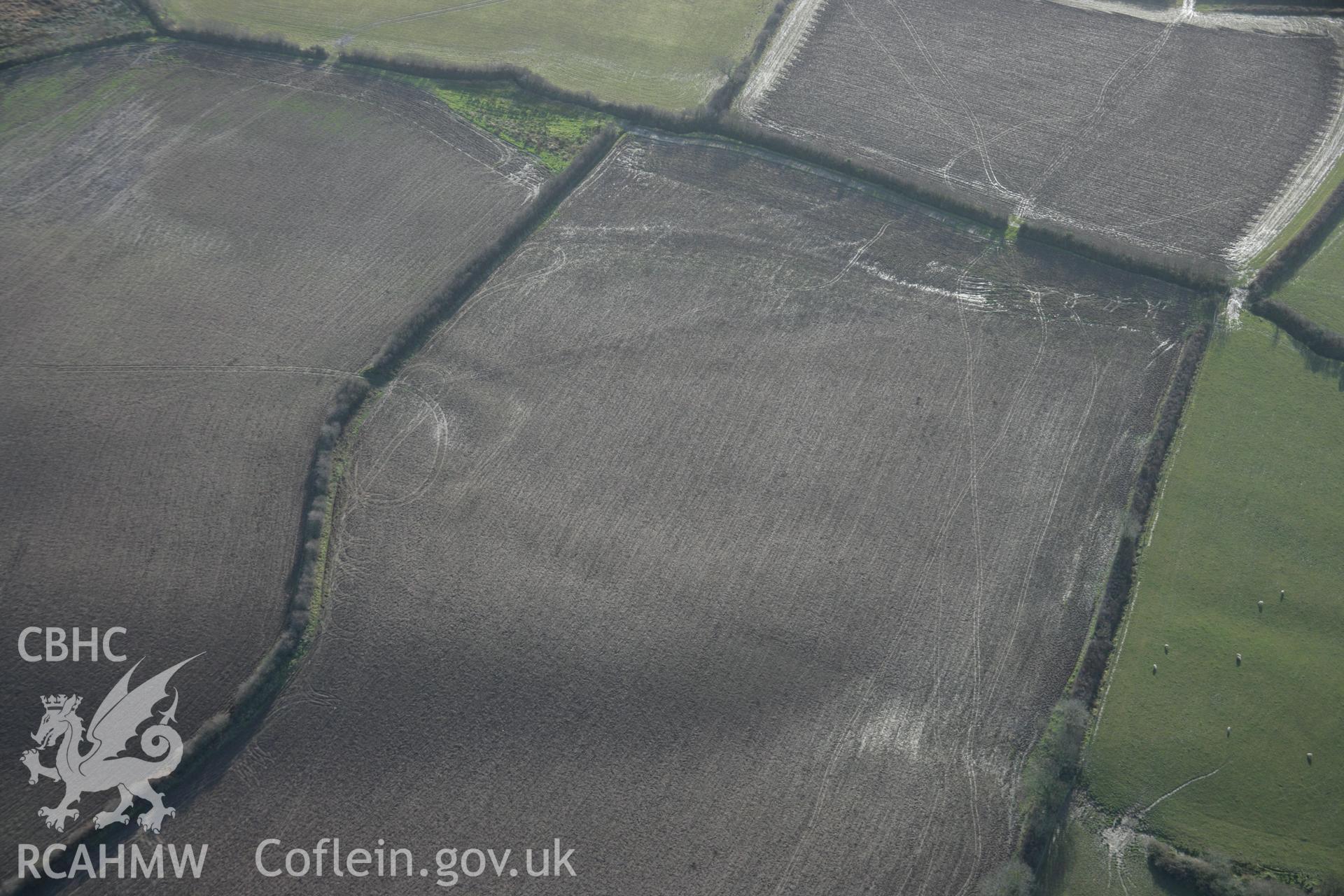 RCAHMW colour oblique aerial photograph of Tumped Park Enclosure, Begelly, visible as a soilmark from the north-west. Taken on 11 January 2006 by Toby Driver.