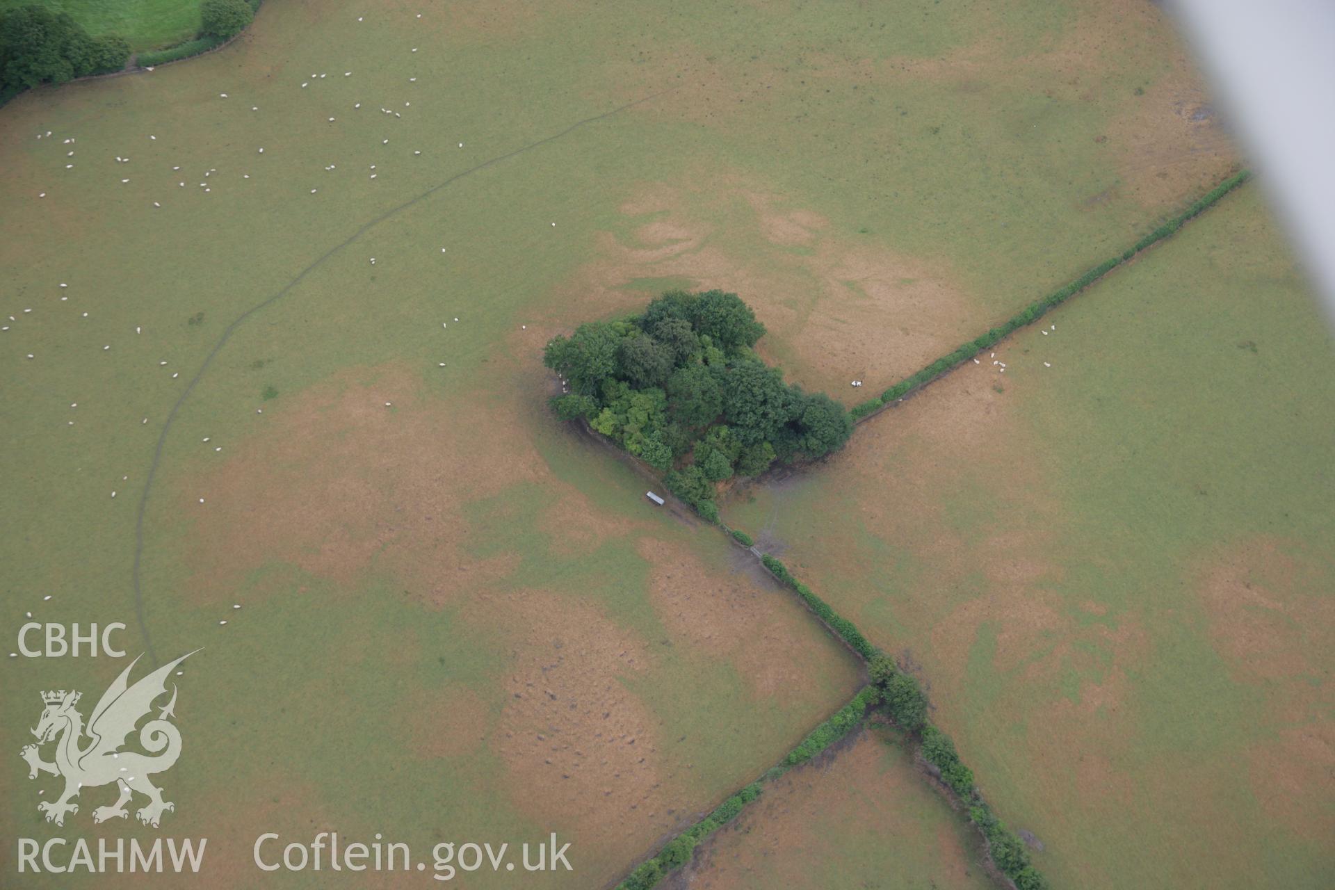 RCAHMW colour oblique aerial photograph of Hen Domen, Llansantffraid Deytheur. Taken on 31 July 2006 by Toby Driver.