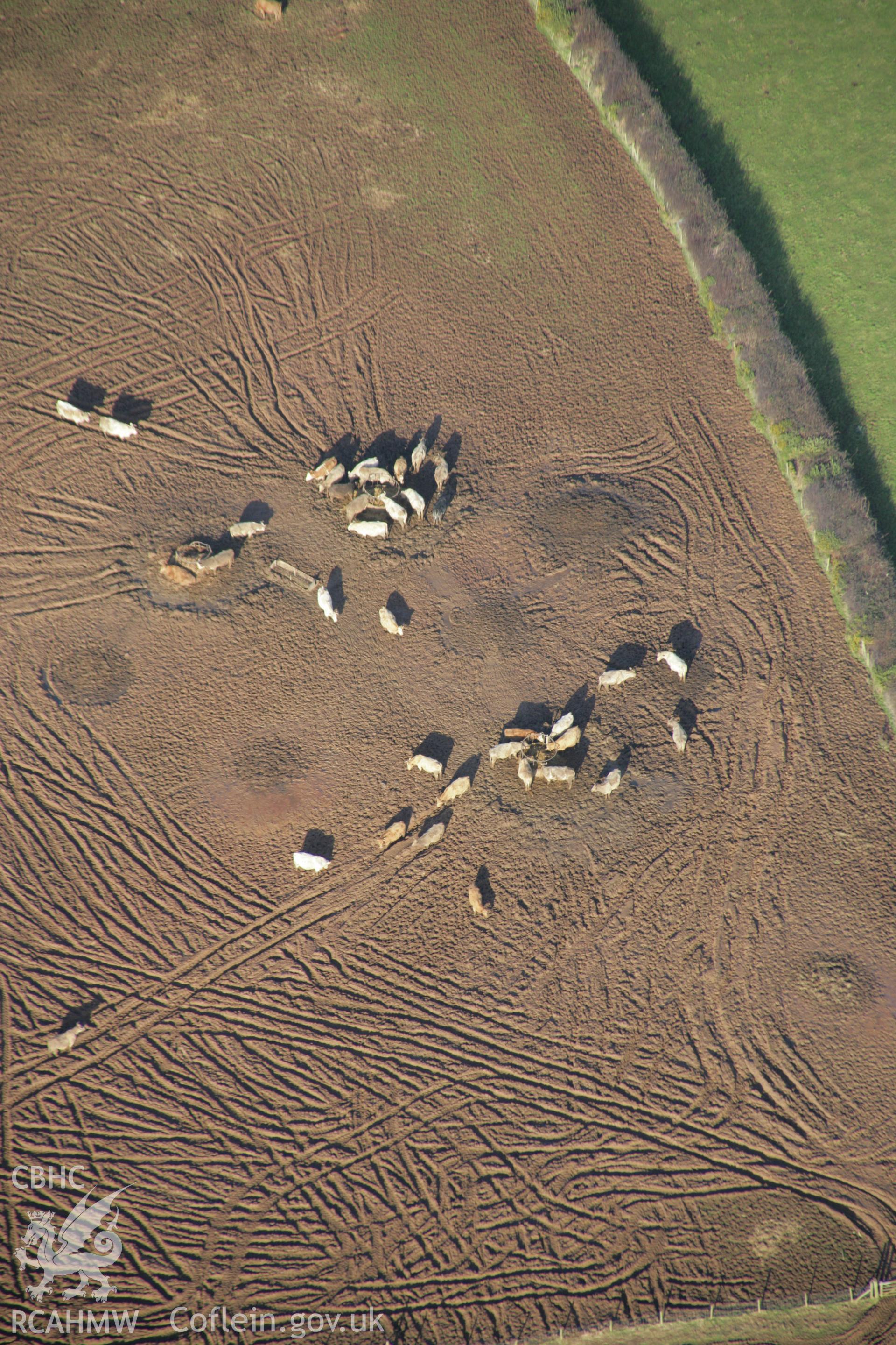 RCAHMW colour oblique aerial photograph showing non-archaeological view of muddy field near Burry Standing Stones, Knelston. Taken on 26 January 2006 by Toby Driver