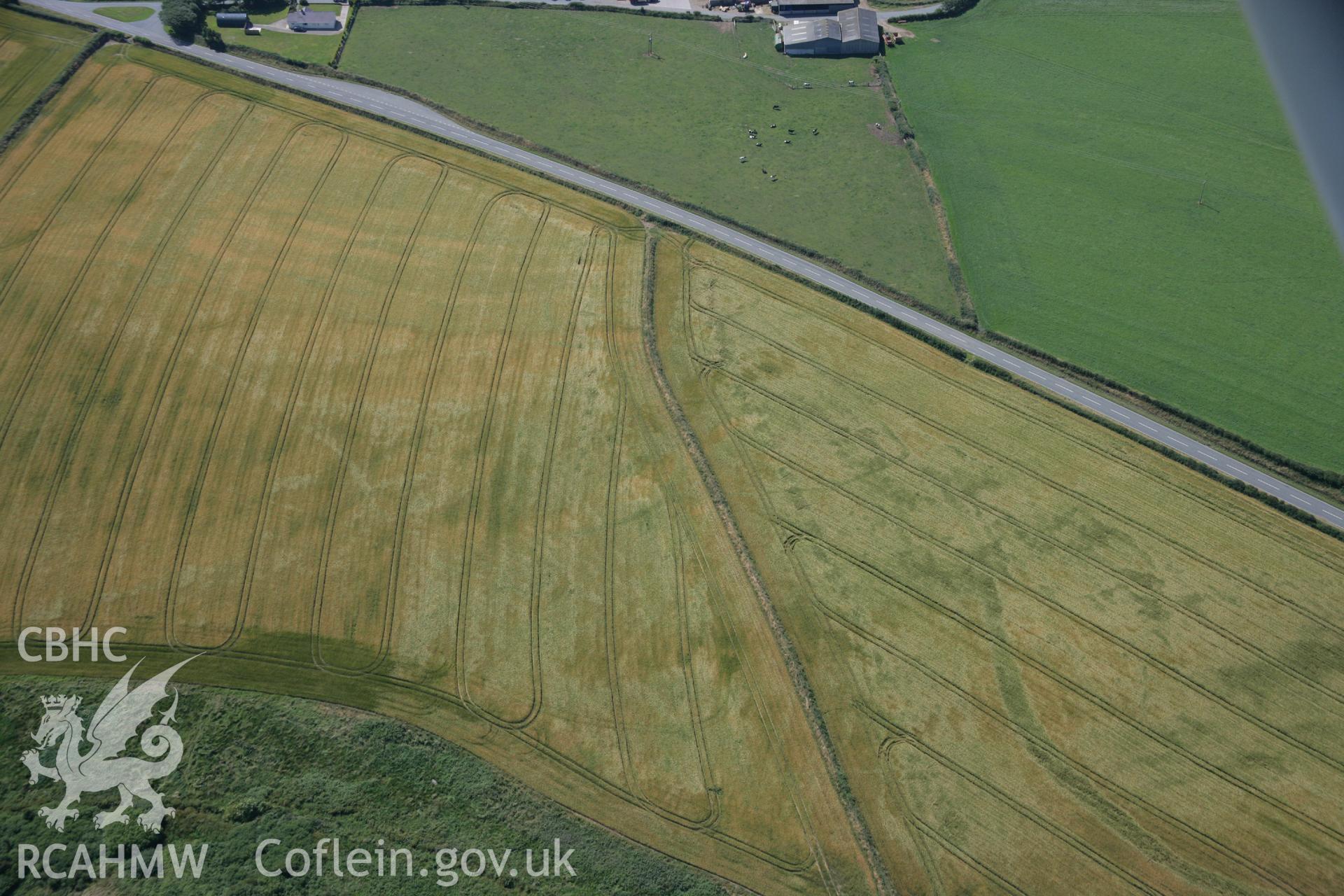 RCAHMW colour oblique aerial photograph of a cropmark enclosure at Pointz Castle. Taken on 14 July 2006 by Toby Driver.