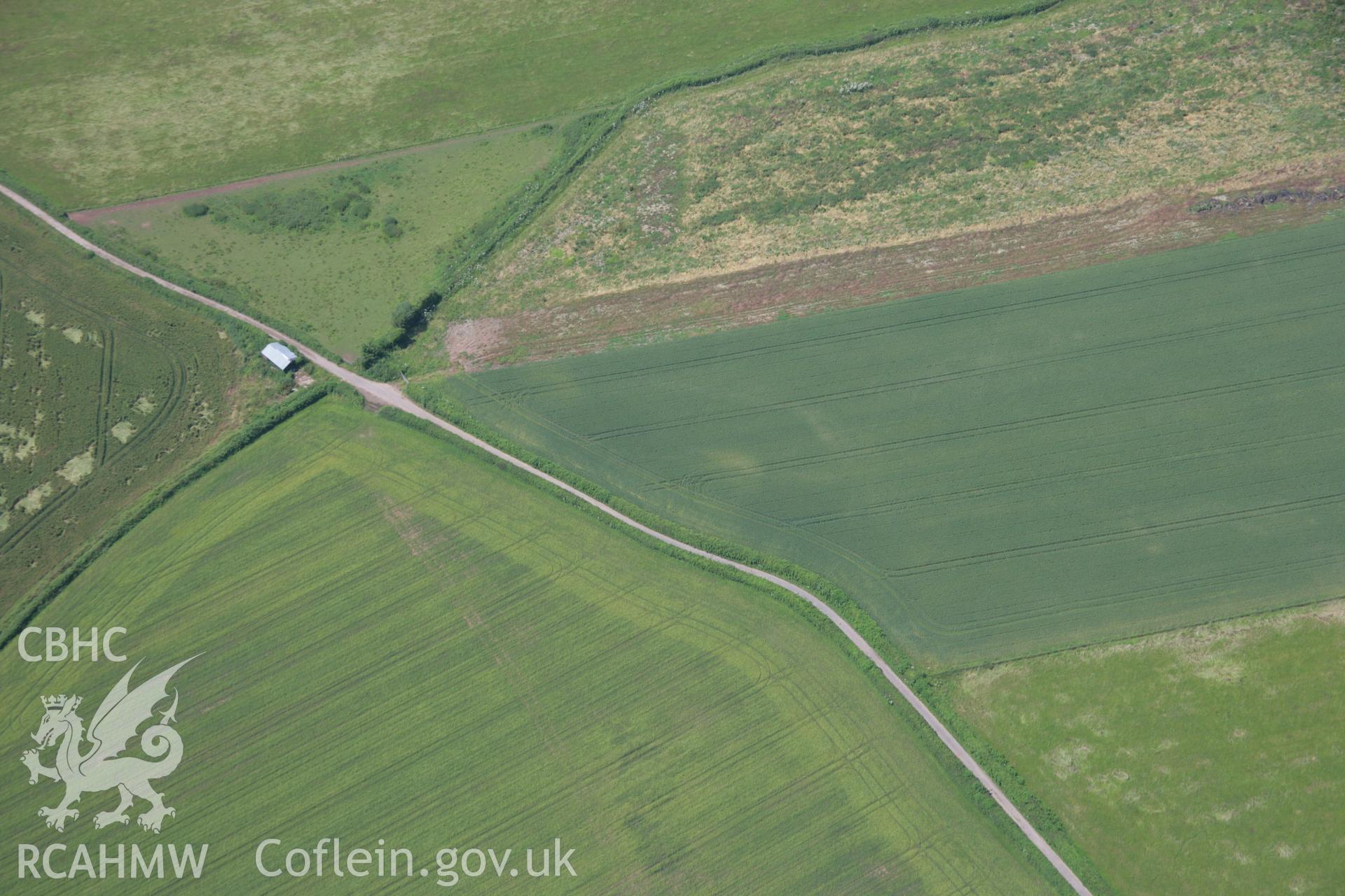 RCAHMW colour oblique photograph of  Oaklands Farm, cropmark, feint,. Taken by Toby Driver on 29/06/2006.