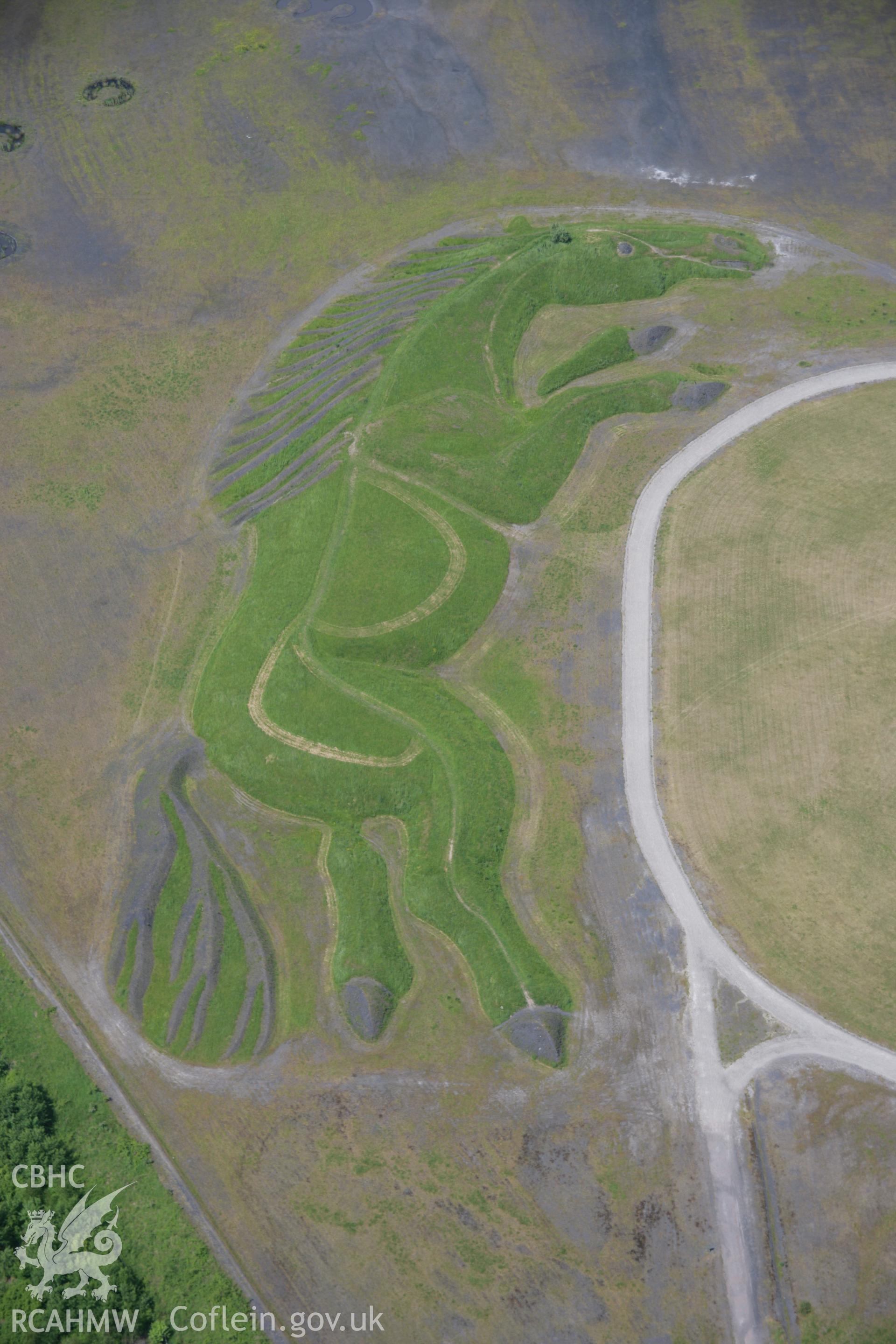 RCAHMW colour oblique aerial photograph of the pit pony sculpture in Penallta Community Park, southeast of Nelson, from the south-east. Taken on 09 June 2006 by Toby Driver.