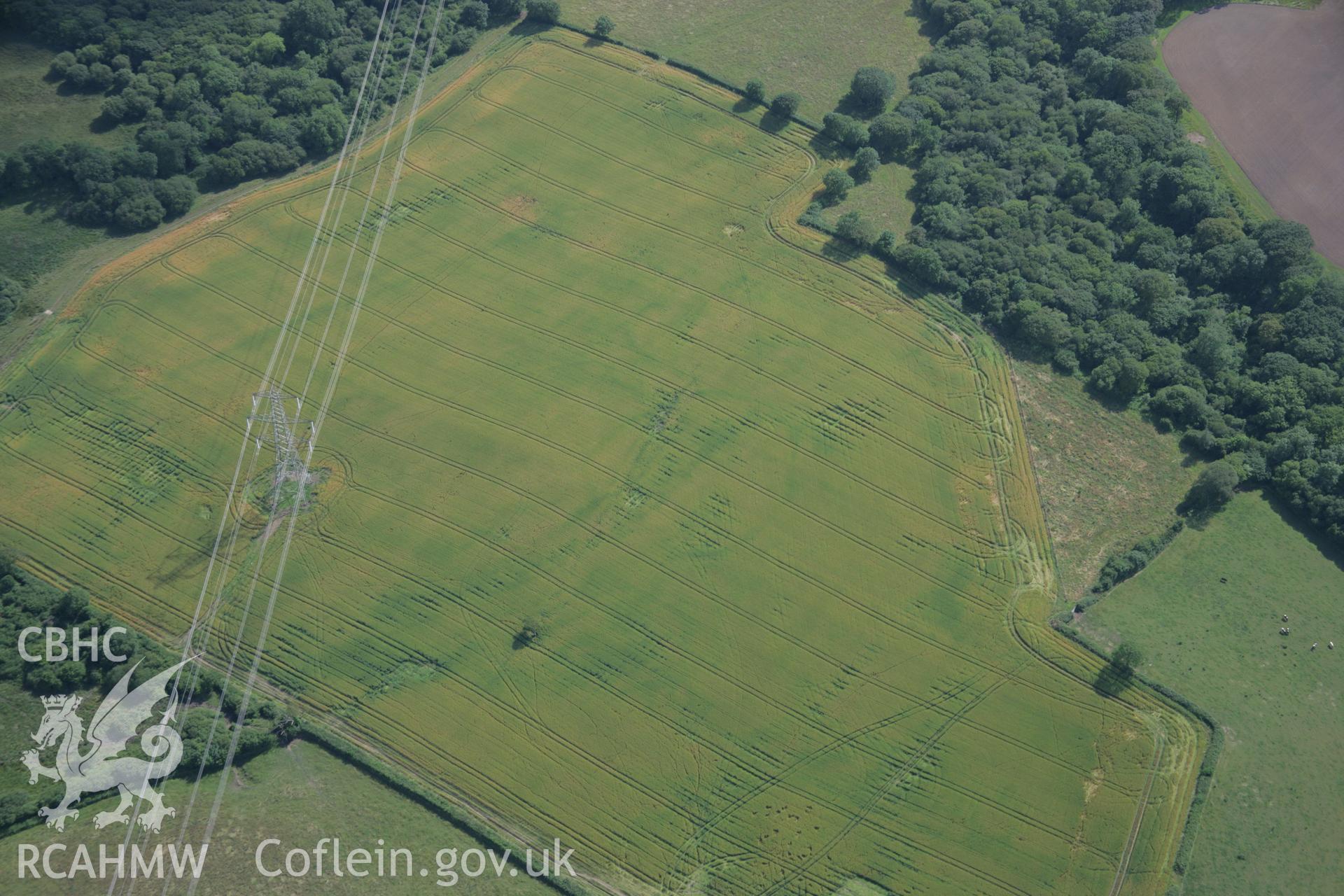 RCAHMW colour oblique aerial photograph of Harrolds Enclosure visible as a cropmark. Taken on 11 July 2006 by Toby Driver.