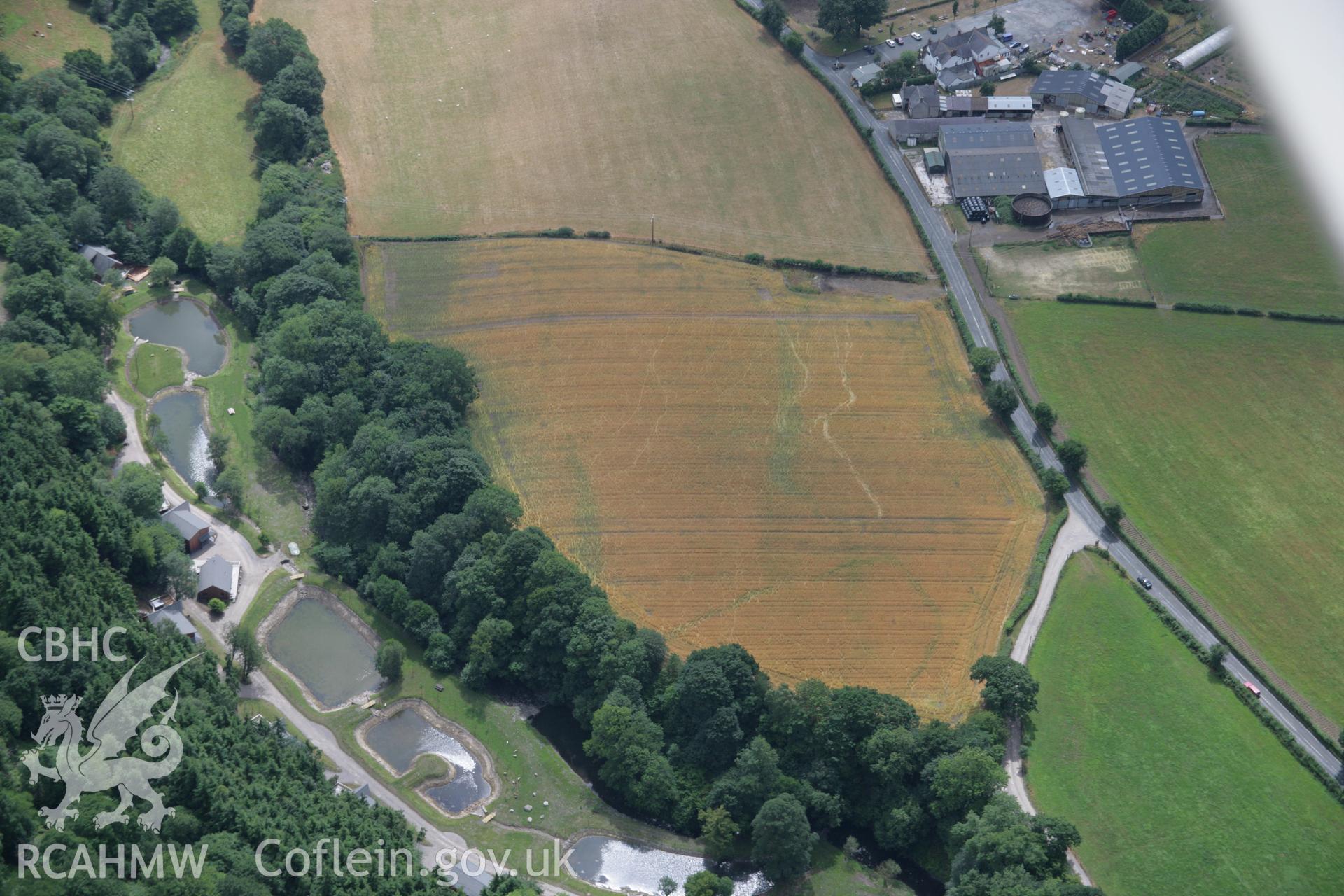 RCAHMW colour oblique aerial photograph of Maes y Llyn showing defended enclosure cropmark. Taken on 31 July 2006 by Toby Driver.