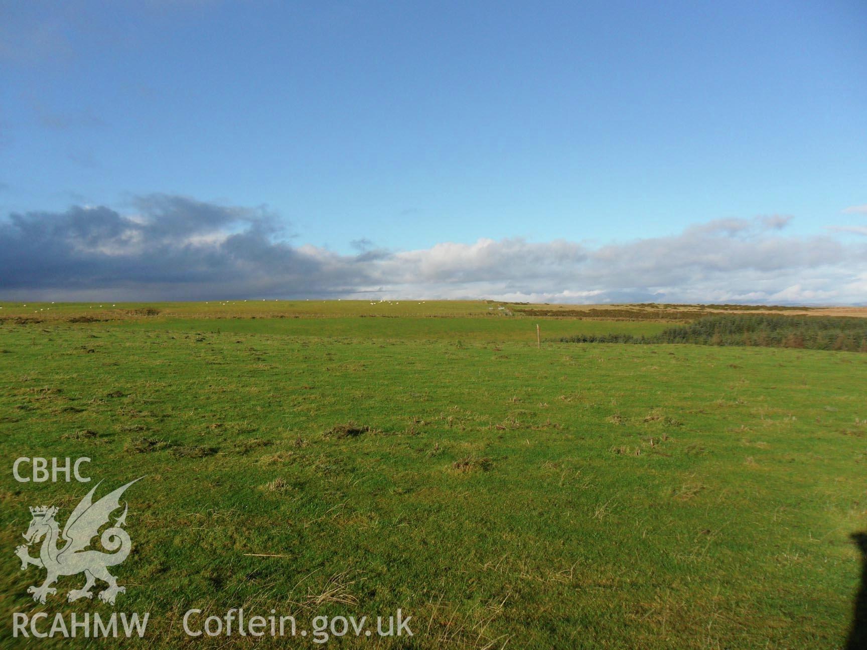 Digital colour photograph showing view of improved pasture on top of Y Foel, Looking north, Tan y Foel Quarry, Cefn Coch, report no. 1089.