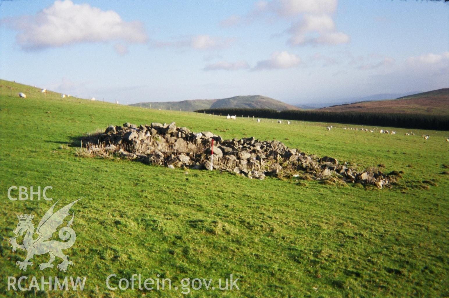 Digital colour photograph of Cwm Ffynnon clearance cairn III taken on 09/12/2006 by A.C. Roseveare during the Berwyn North East Upland Survey by Archaeophysica.