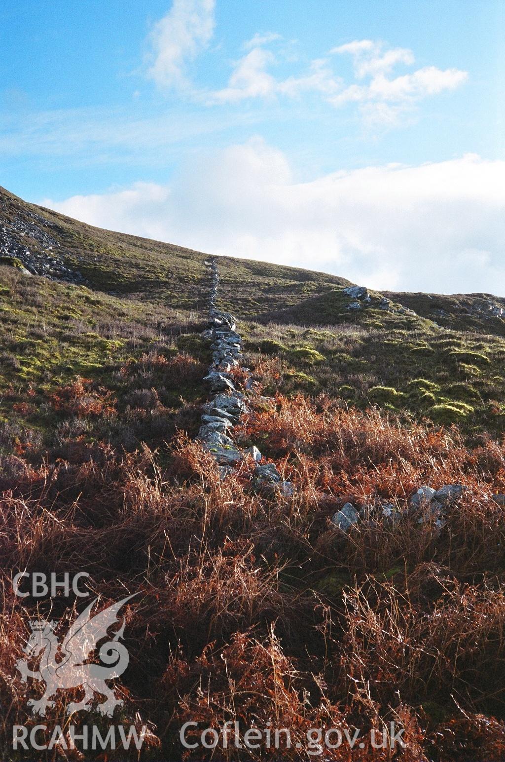 Digital colour photograph of Cwm Nant y Llyn field boundary V taken on 08/12/2006 by M.T.K. Robinson during the Berwyn North East Upland Survey by Archaeophysica.