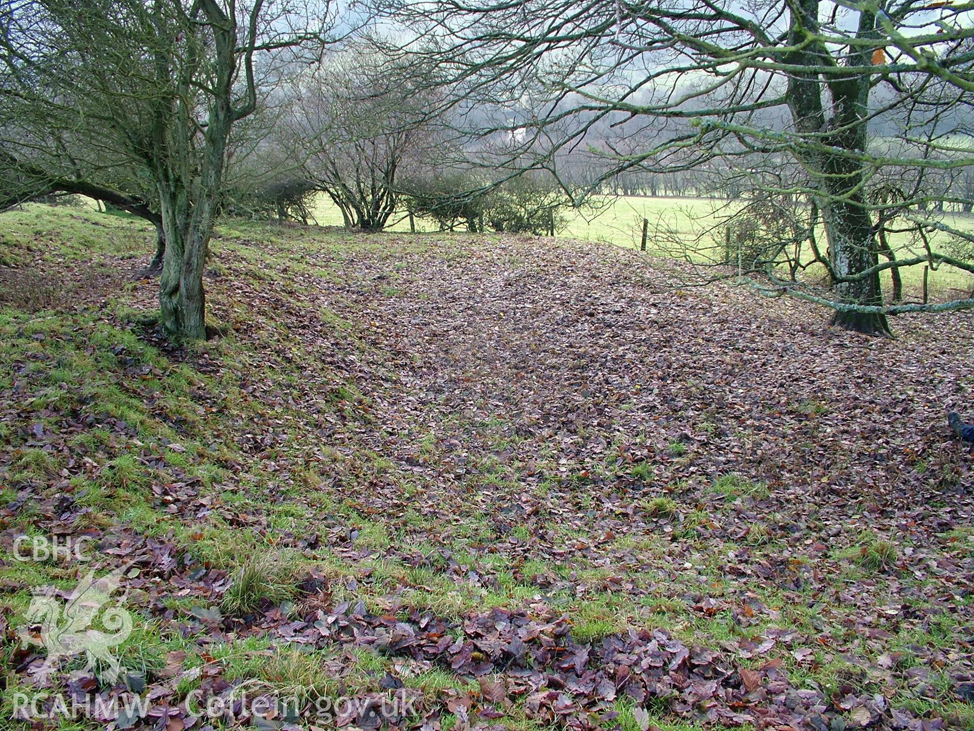 Photograph of Crug Platform taken on 08/12/2005 by R. Hankinson during an Upland Survey undertaken by the Clwyd-Powys Archaeological Trust.