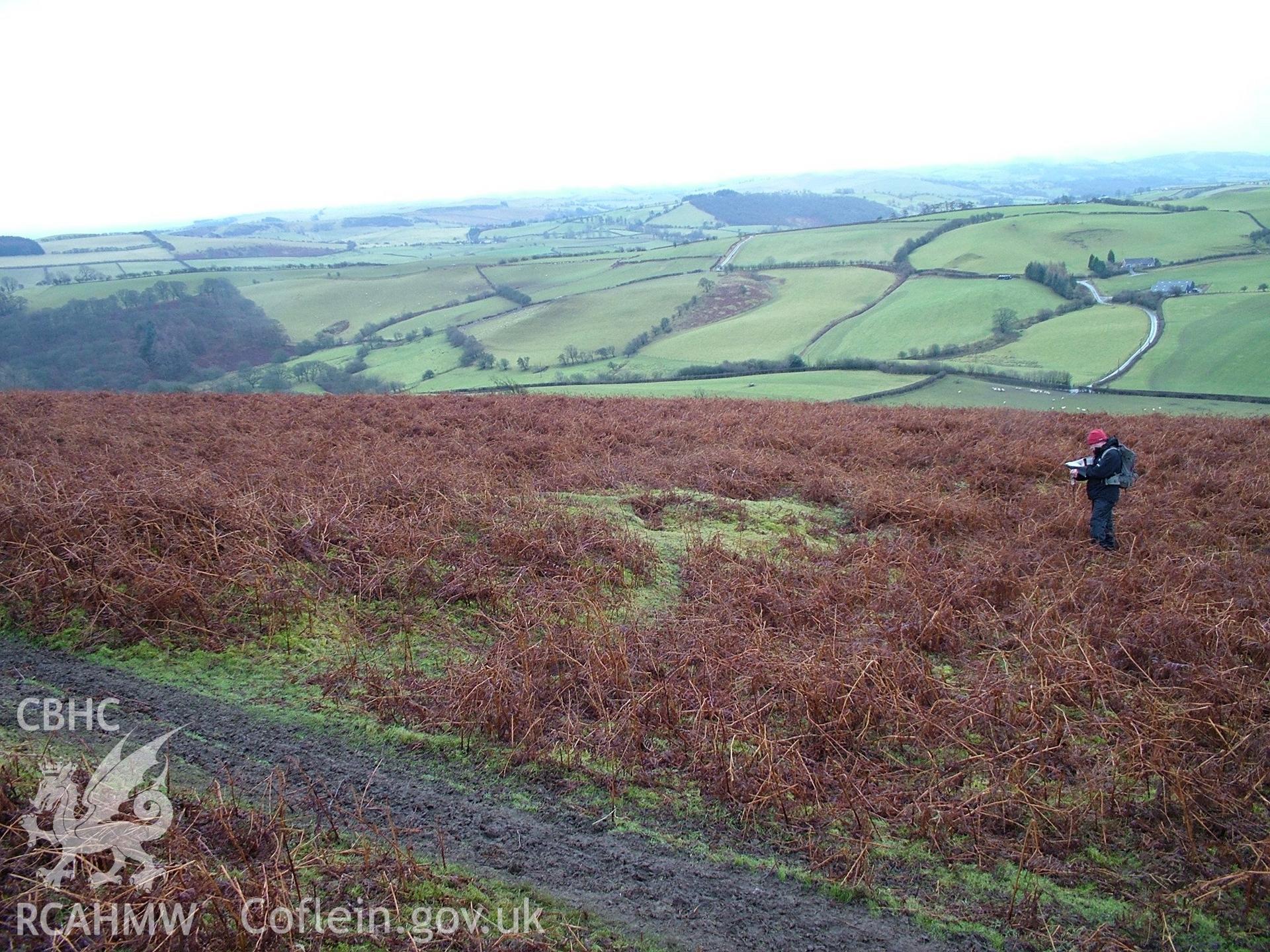 Photograph of Pillow Mound I at Rhos Crug Rabbit Warren taken on 19/01/2006 by G. Davies during an Upland Survey undertaken by the Clwyd-Powys Archaeological Trust.