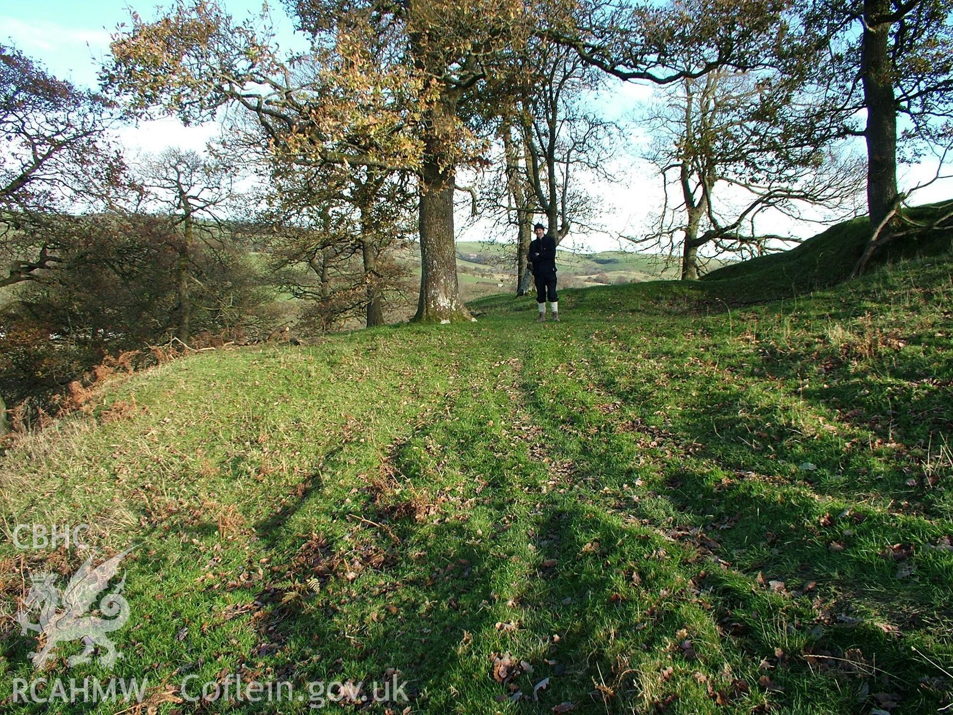 Photograph of Platform I at Troed Rhiw Fedwen taken on 16/11/2005 by R. Hankinson during an Upland Survey undertaken by the Clwyd-Powys Archaeological Trust.