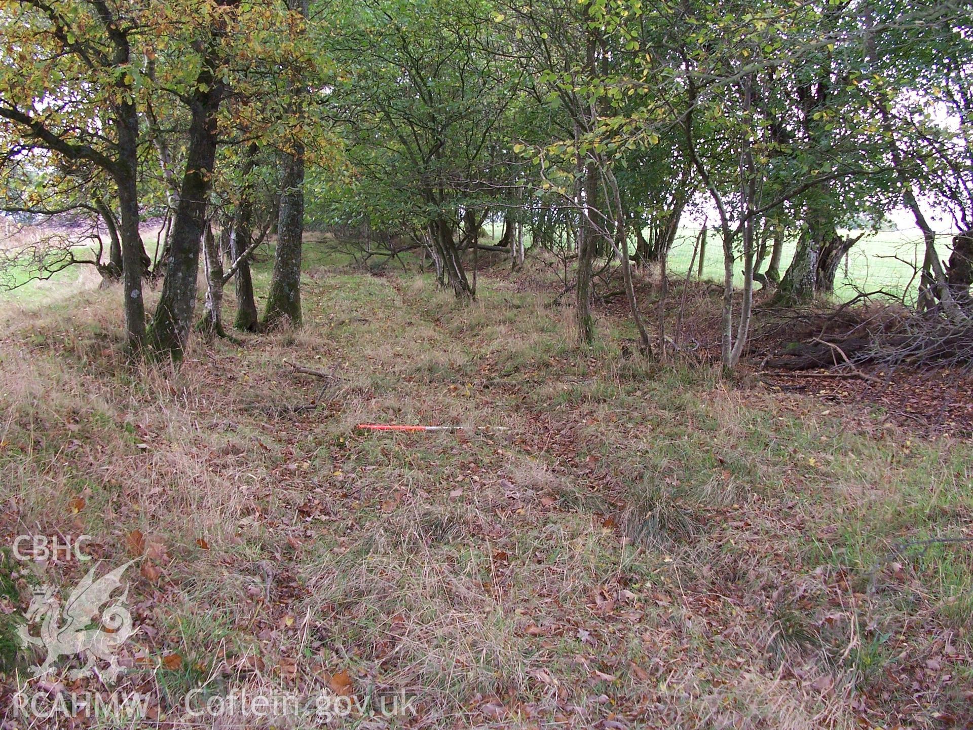 Photograph from an archaeological observation on Newbridge Sawmill, Newbridge, Monmouthshire, immediately east of area 2, view NE Roman road. Produced by Border Archaeology in February 2006.