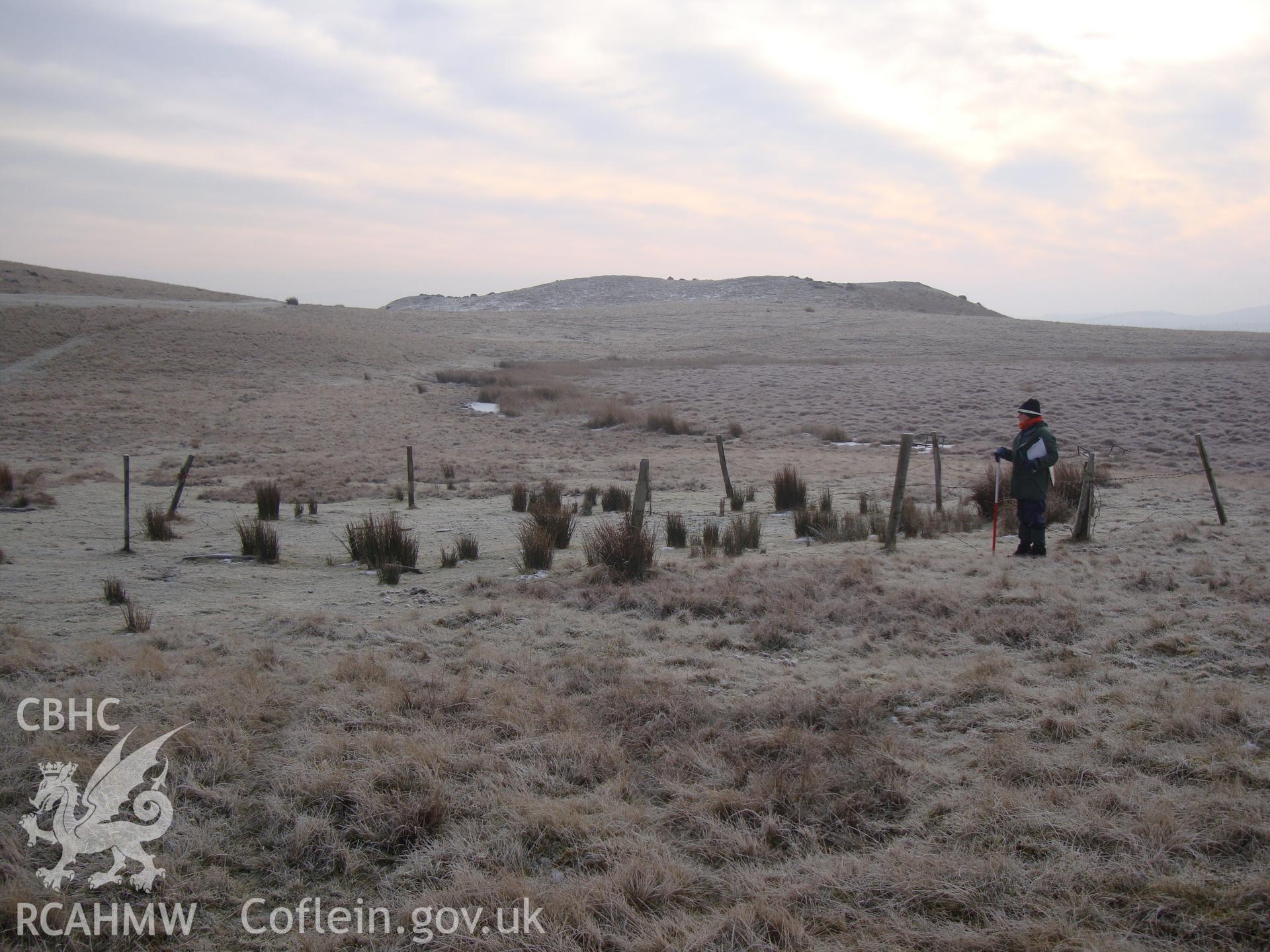 Digital colour photograph of Pant y Llyn sheep feeding enclosure taken on 10/01/2009 by R.P.Sambrook during the Banc y Celyn Upland Survey undertaken by Trysor.