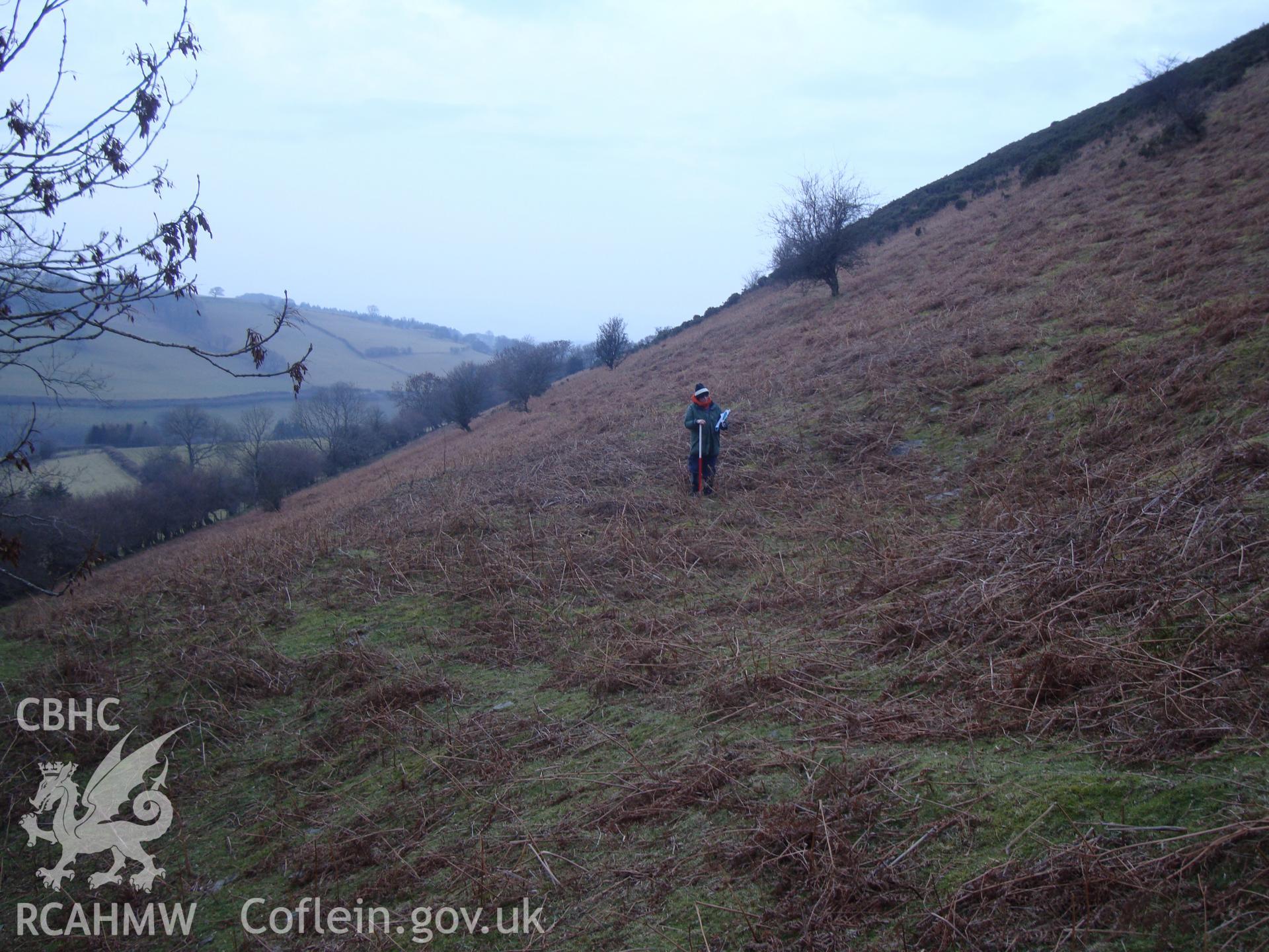 Digital colour photograph of Pant y Llyn Hill earthwork platform IV taken on 10/01/2009 by R.P.Sambrook during the Banc y Celyn Upland Survey undertaken by Trysor.