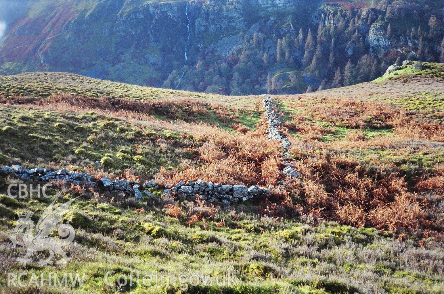 Digital colour photograph of Cwm Nant y Llyn field boundary V taken on 08/12/2006 by M.T.K. Robinson during the Berwyn North East Upland Survey by Archaeophysica.