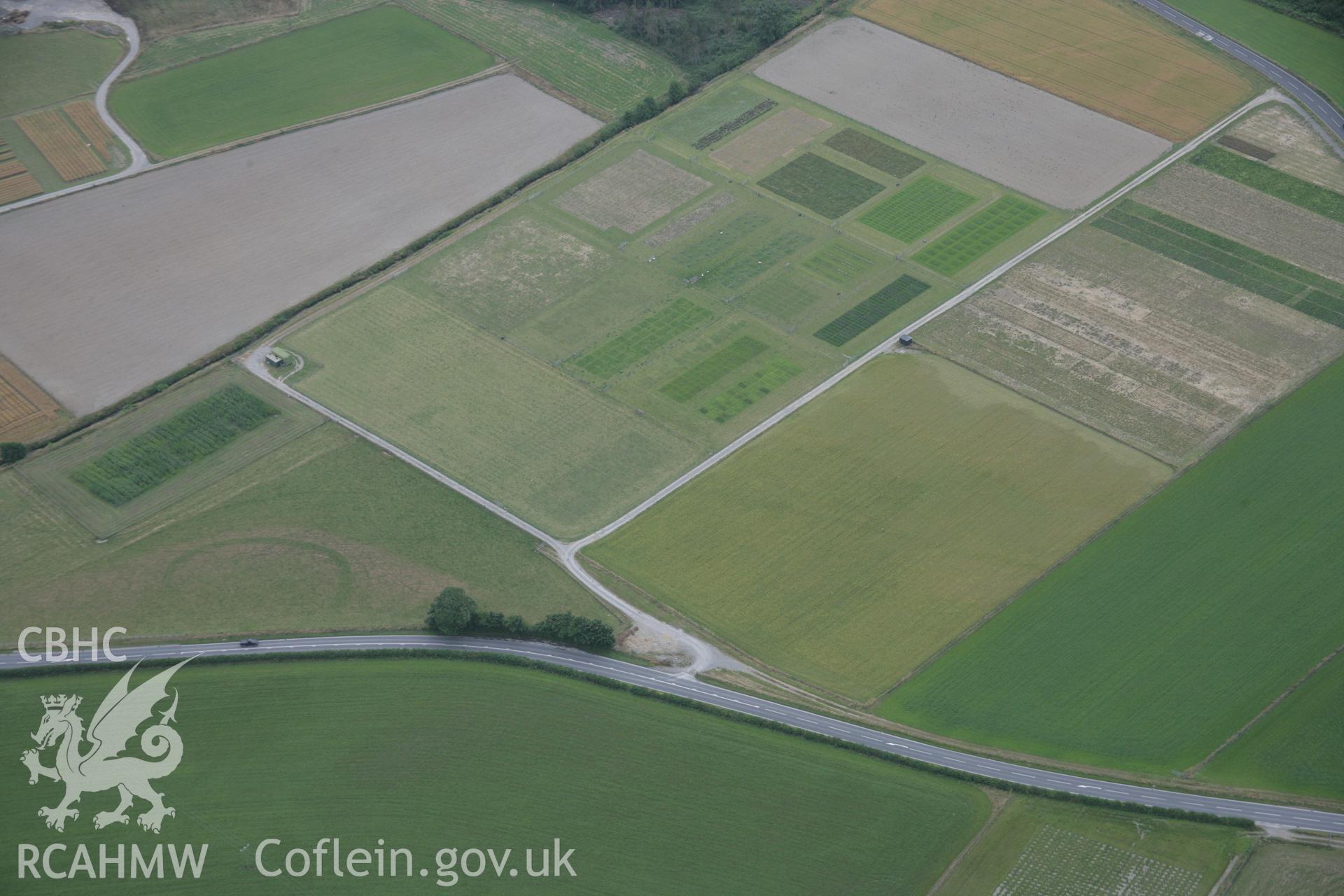 RCAHMW digital colour oblique photograph of Gogerddan enclosure showing as a cropmark viewed from the north-east. Taken on 18/07/2005 by T.G. Driver.