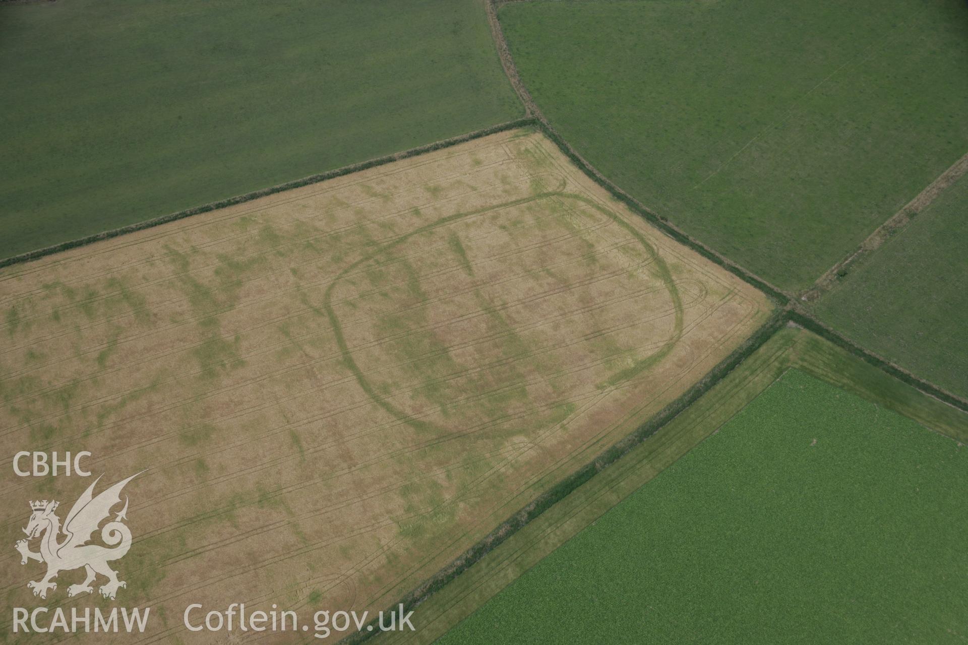 RCAHMW digital colour oblique photograph of the cropmark of a defended enclosure south-west of Nant Fflyman viewed from the east. Taken on 27/07/2005 by T.G. Driver.