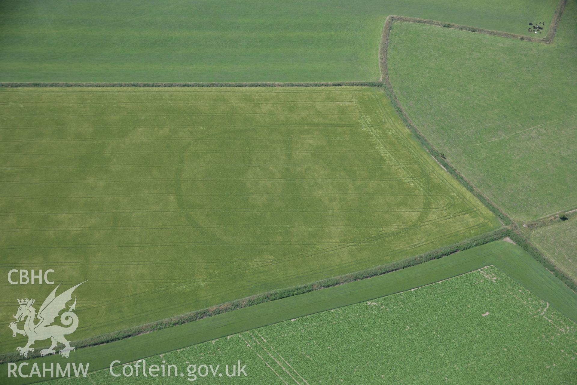 RCAHMW colour oblique aerial photograph of a cropmark enclosure south-west of Nant Fflyman viewed from the east.. Taken on 11 July 2005 by Toby Driver